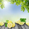 Fototapete Zitronen Zitrus Frucht M0701