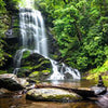 Fototapete Natur-wasserfall Bach Dschungel M1066