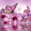 Fototapete Violett Schmetterling M1853