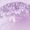 Fototapete Baum Violett 3D M1911