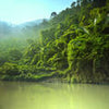 Fototapete Dschungel Wald Fluss Berg M4931