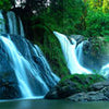 Fototapete Wald mit Wasserfall M5759