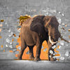 Fototapete 3D Optik Elefant Wanddurchbruch M6617