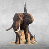 Fototapete 3D Optik Wanddurchbruch Elefant M6623