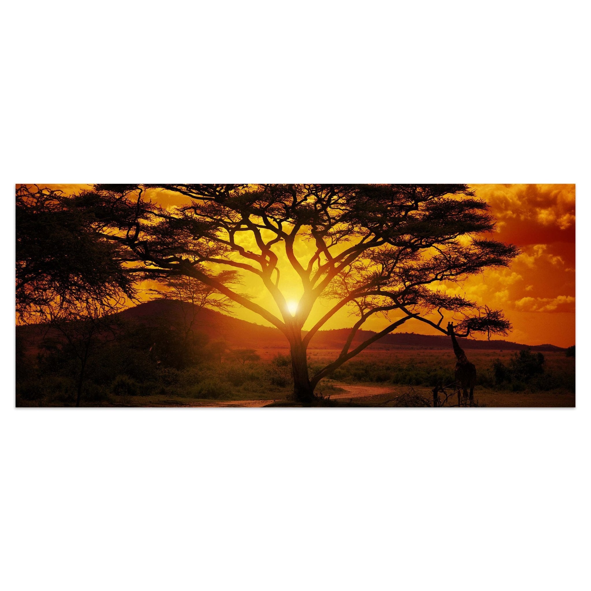 Leinwandbild Afrika Sonnenuntergang M0001 kaufen - Bild 1