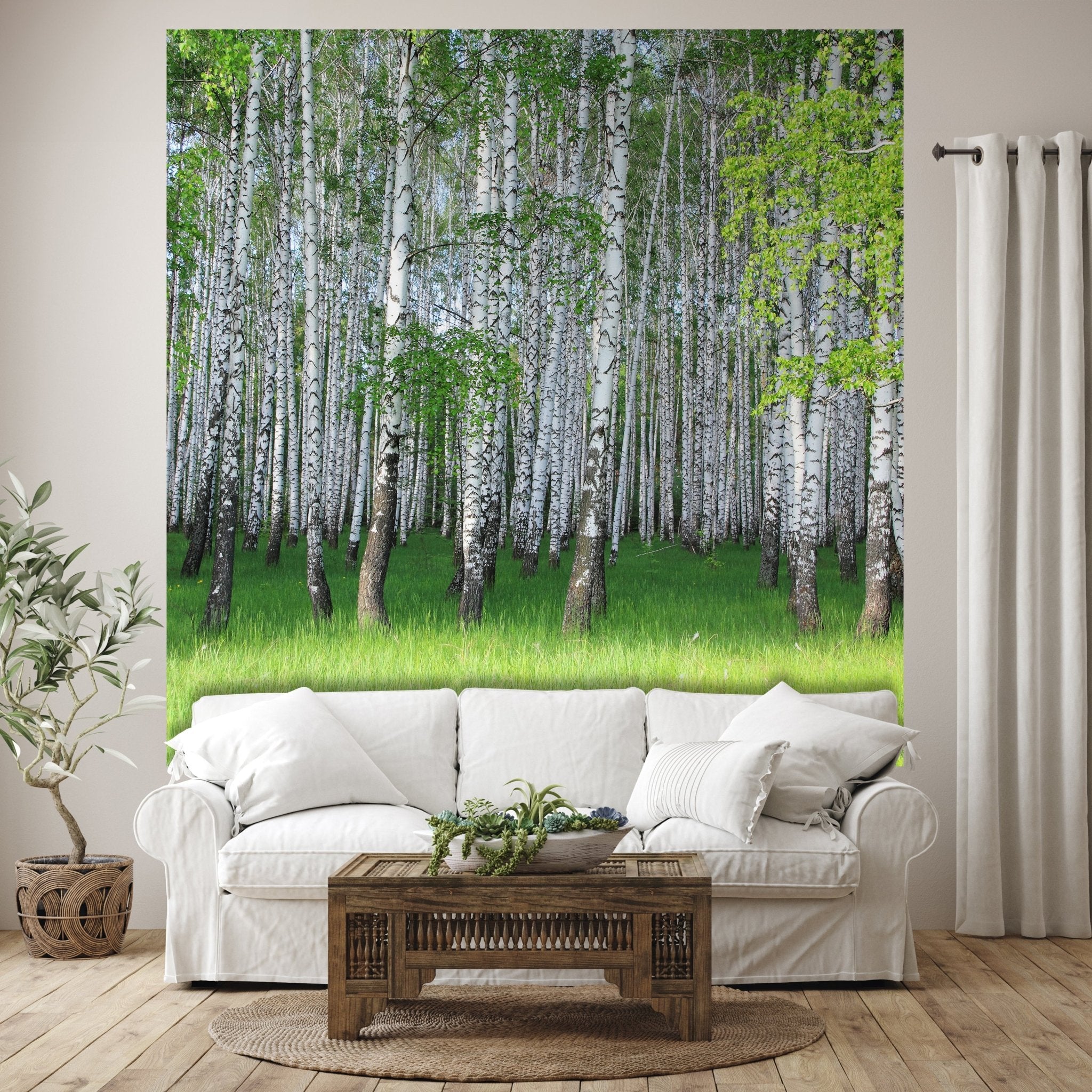 Quadratische Fototapete Birkenhain im Frühling M0005 - Bild 1 Quadratische Fototapete Birkenhain im Frühling M0005 - Bild 1