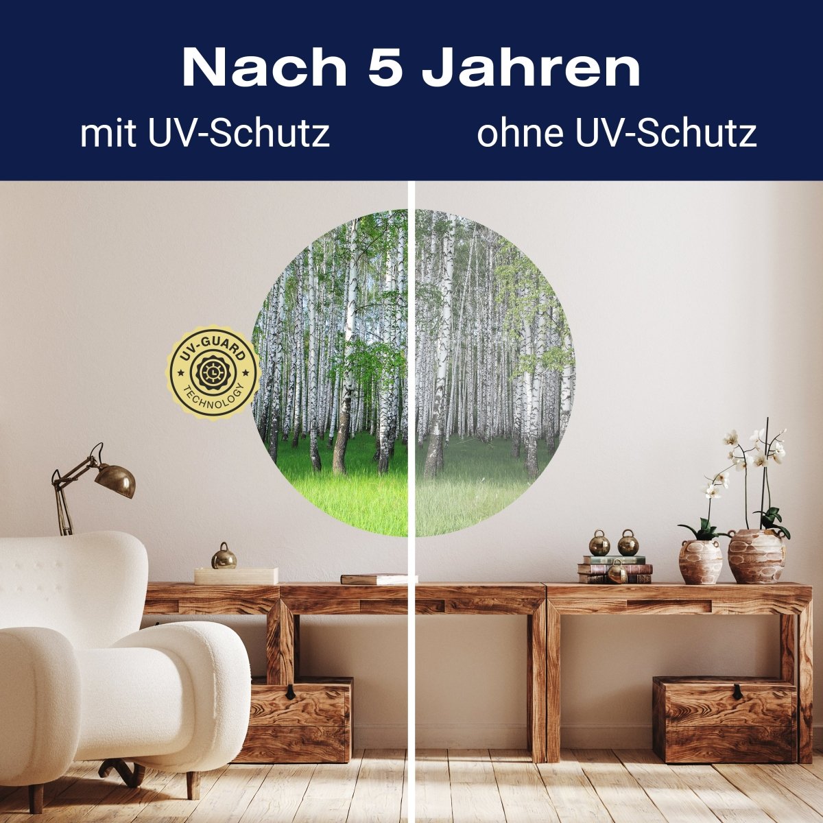 Runde Fototapete Birkenhain im Frühling M0005 - Bild 9 Runde Fototapete Birkenhain im Frühling M0005 - Bild 9