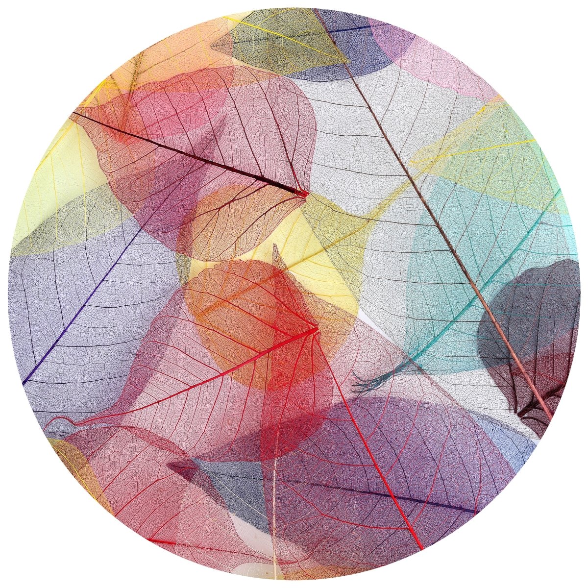 Runde Fototapete bunte Blätter M0016 - Bild 11 Runde Fototapete bunte Blätter M0016 - Bild 11