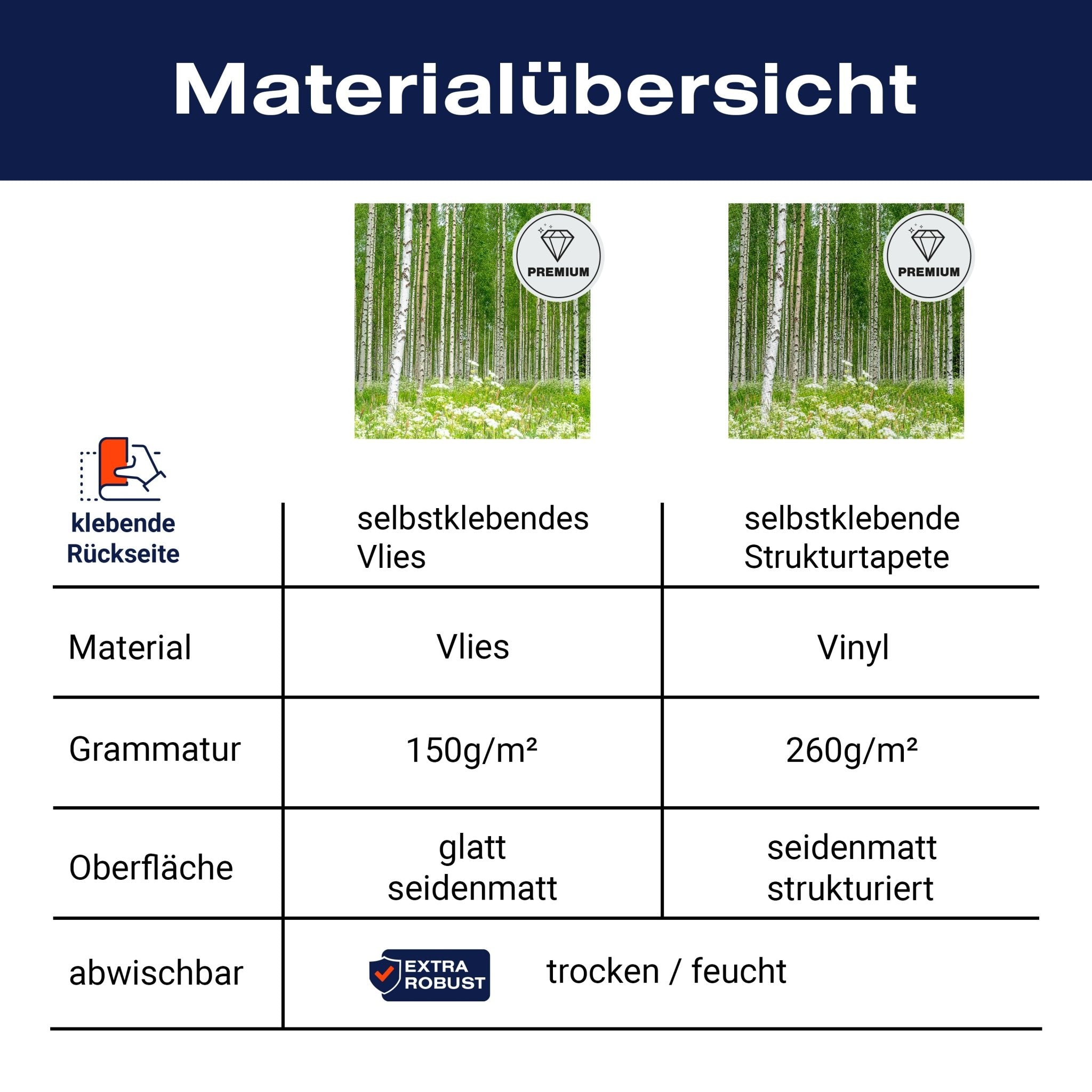 Quadratische Fototapete Birkenwald mit Blumenwiese M0024 - Bild 8 Quadratische Fototapete Birkenwald mit Blumenwiese M0024 - Bild 8