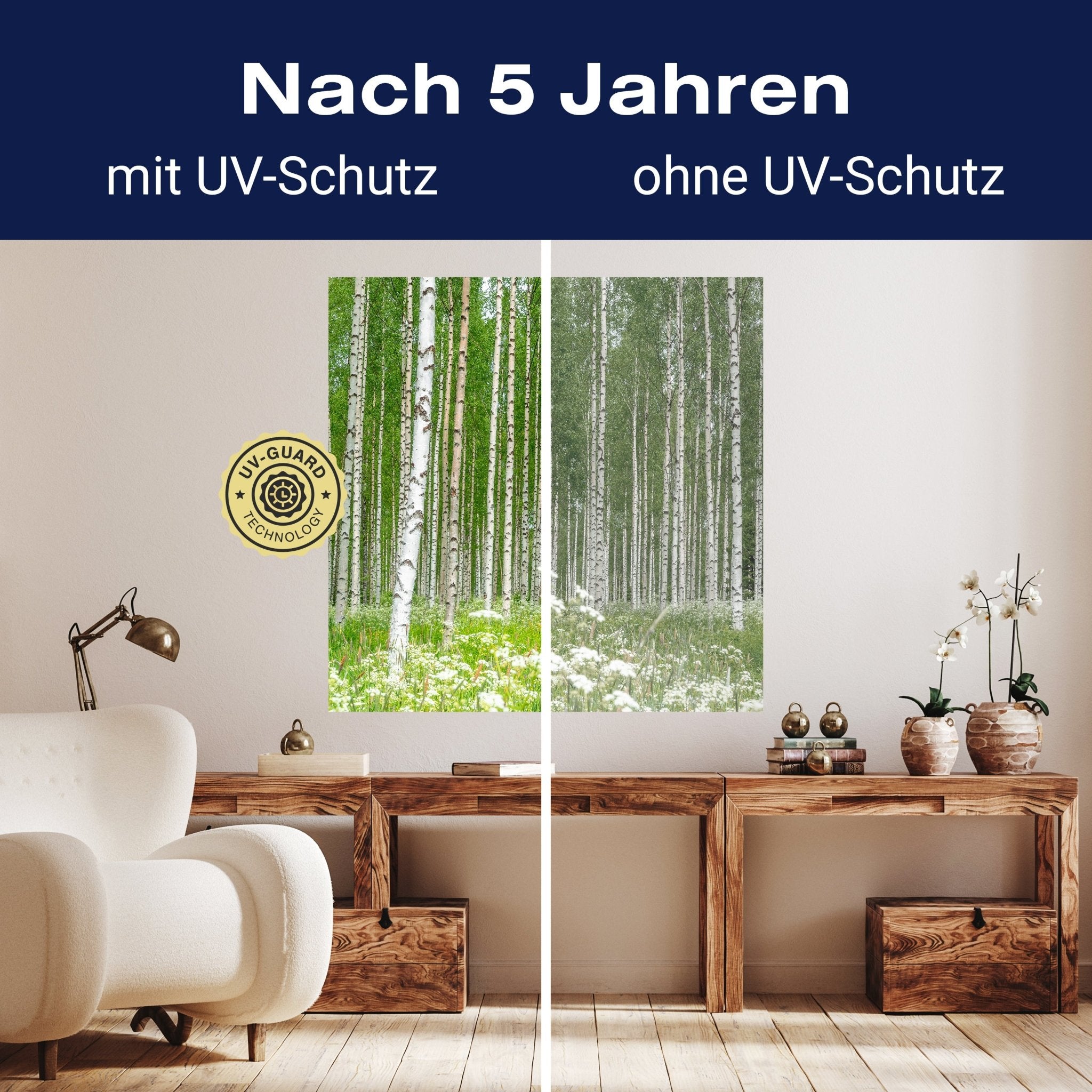 Quadratische Fototapete Birkenwald mit Blumenwiese M0024 - Bild 9 Quadratische Fototapete Birkenwald mit Blumenwiese M0024 - Bild 9