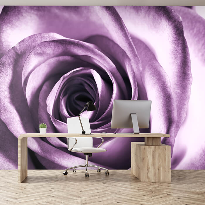 Fototapete Rose-violett M0051 - Bild 1 Fototapete Rose-violett M0051 - Bild 1