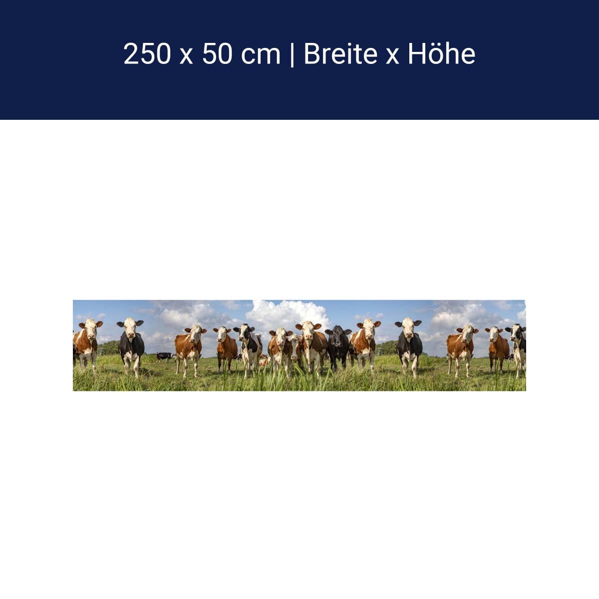 Panorama-Fototapete Kühe auf der Weide M0131 Panorama-Fototapete Kühe auf der Weide M0131