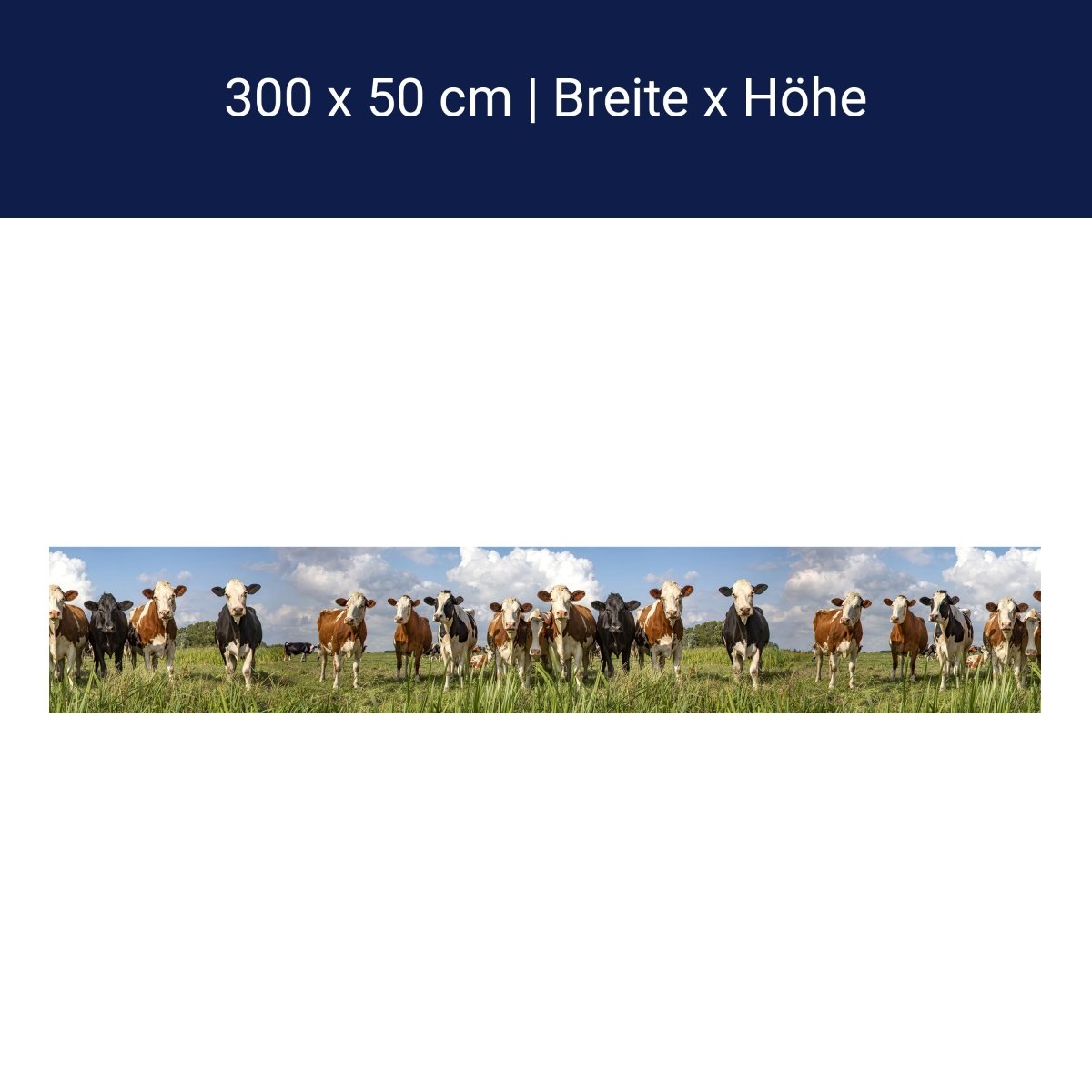 Panorama-Fototapete Kühe auf der Weide M0131 Panorama-Fototapete Kühe auf der Weide M0131