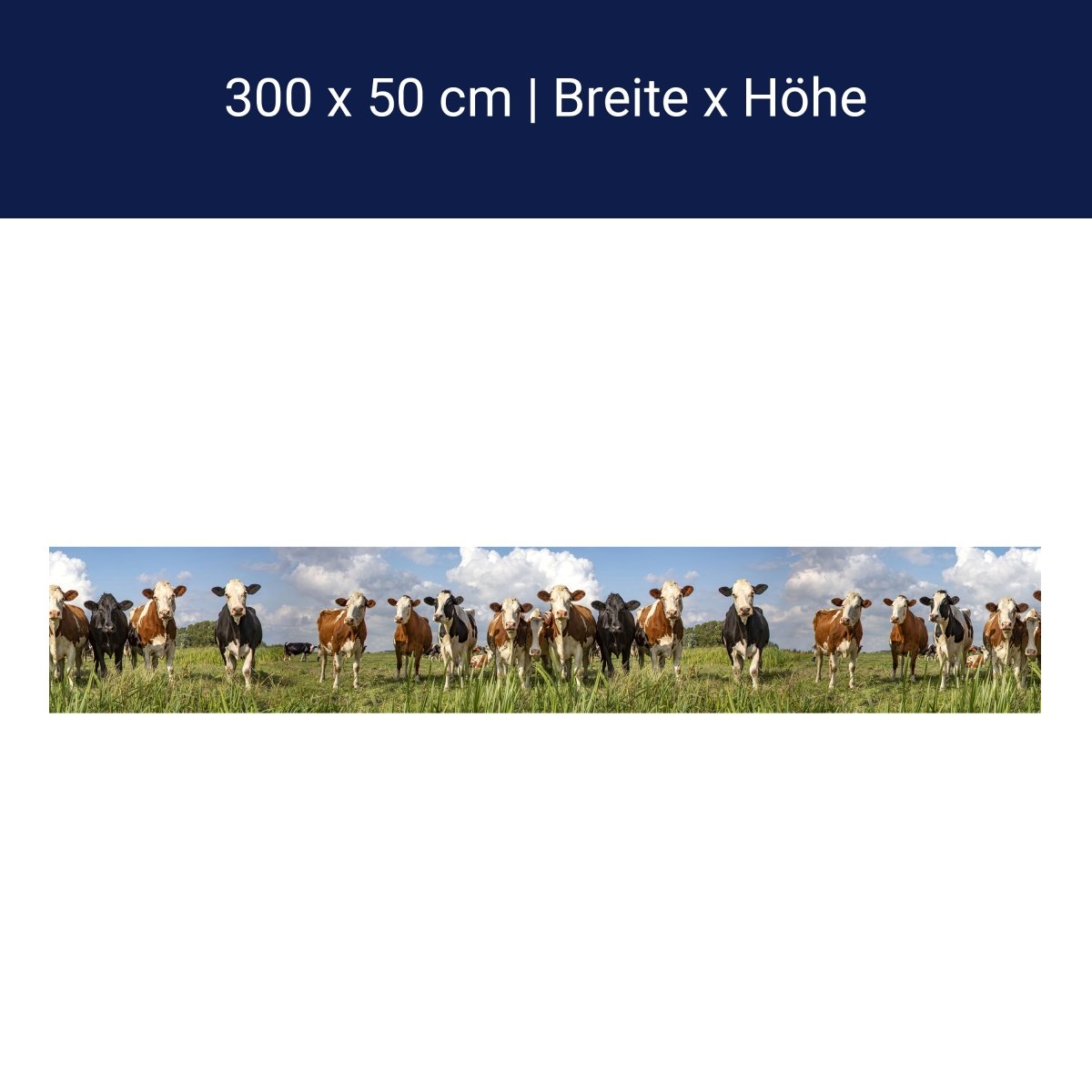 Panorama-Fototapete Kühe auf der Weide M0131