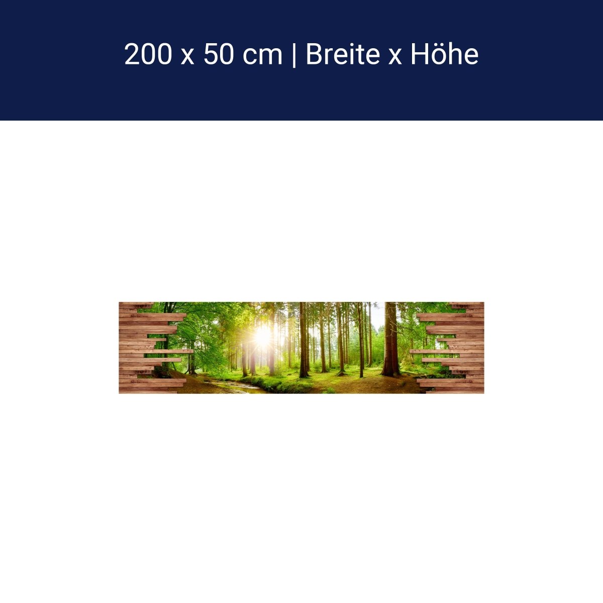 Panorama-Fototapete Wald Aussicht M0140