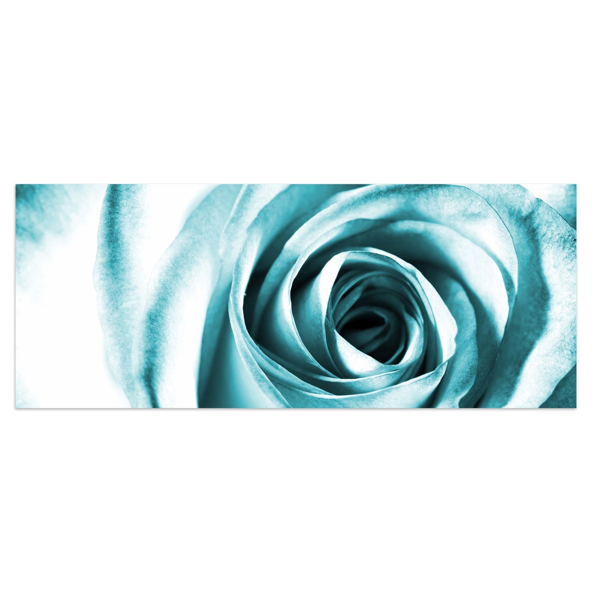 Leinwandbild Blaue Rose Blüte M0227 kaufen - Bild 1