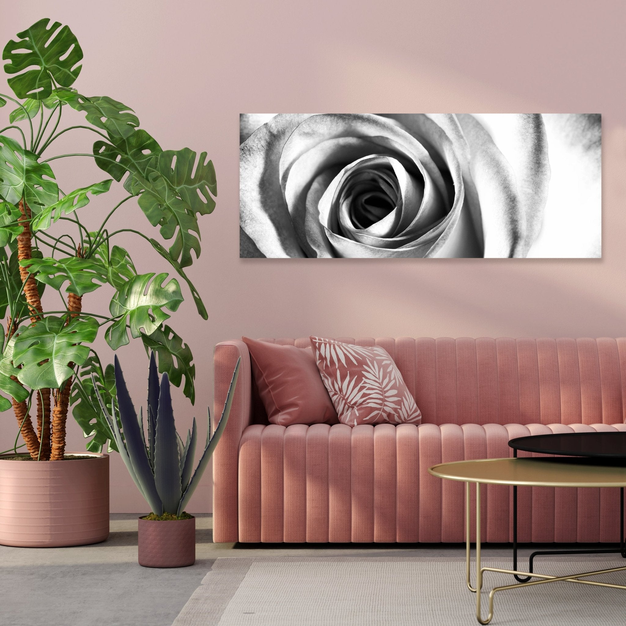 Leinwandbild weiße Rose Blüte M0233 kaufen - Bild 3 Leinwandbild weiße Rose Blüte M0233 kaufen - Bild 3