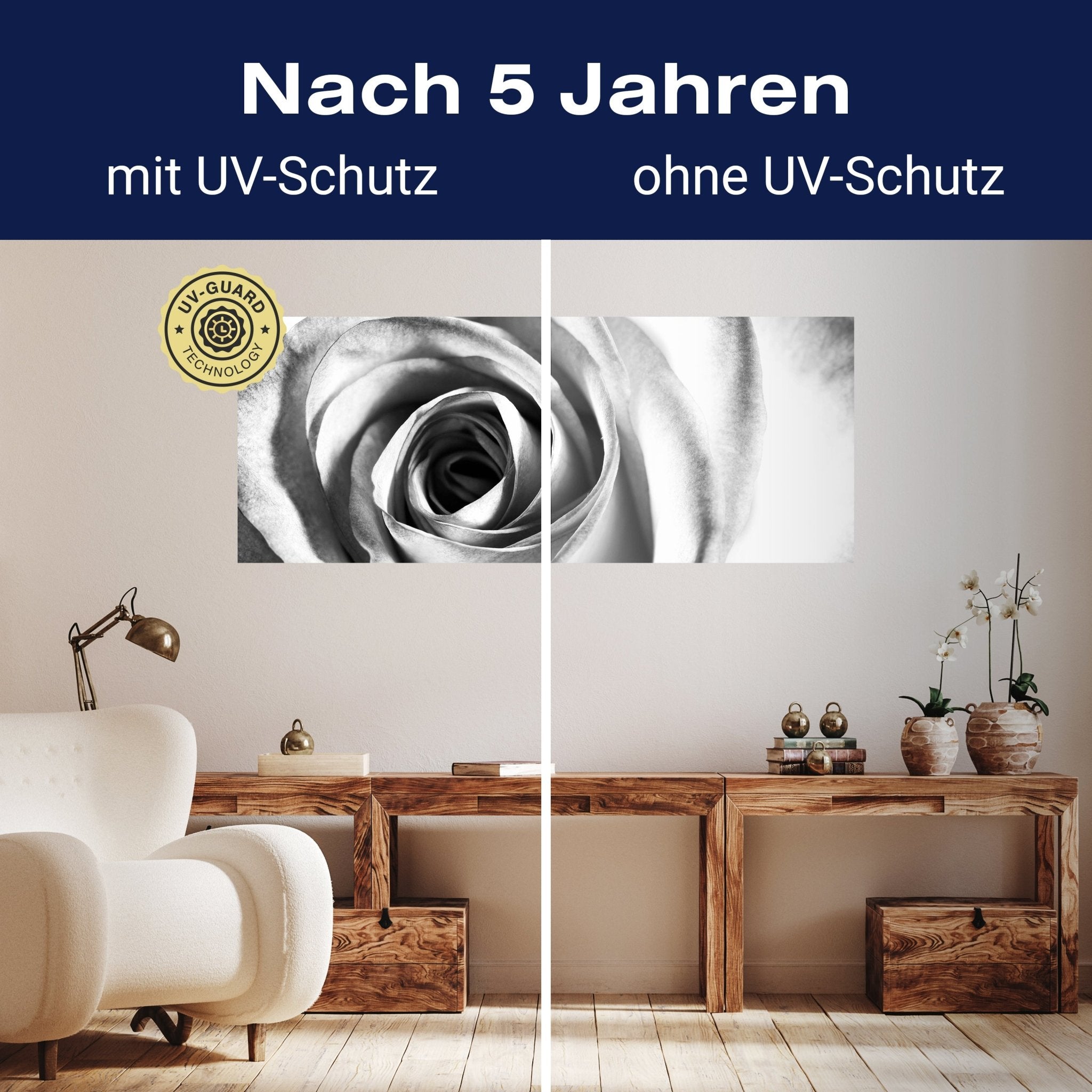 Leinwandbild weiße Rose Blüte M0233 kaufen - Bild 9 Leinwandbild weiße Rose Blüte M0233 kaufen - Bild 9