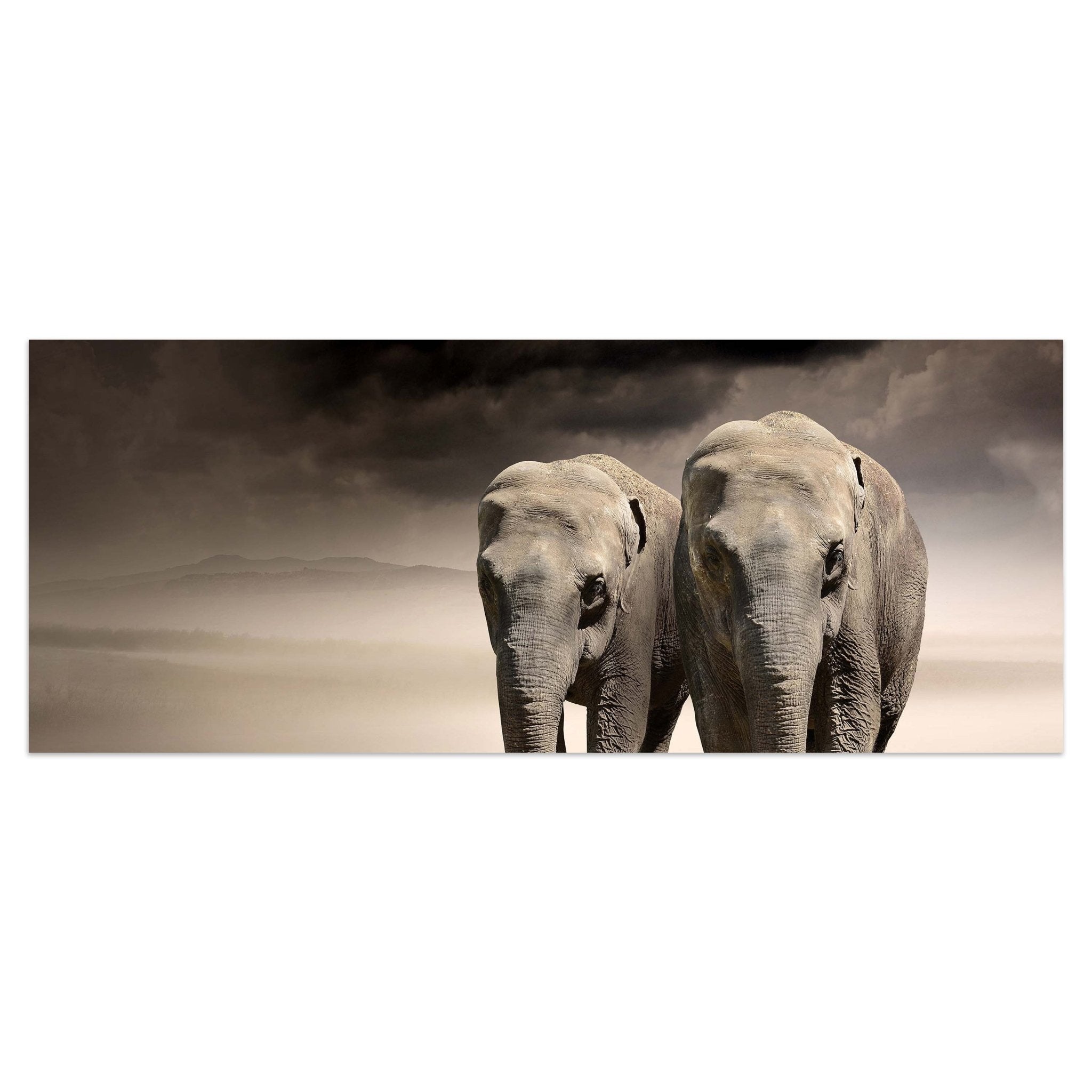 Leinwandbild Elefantentraum Afrika M0244 kaufen - Bild 1
