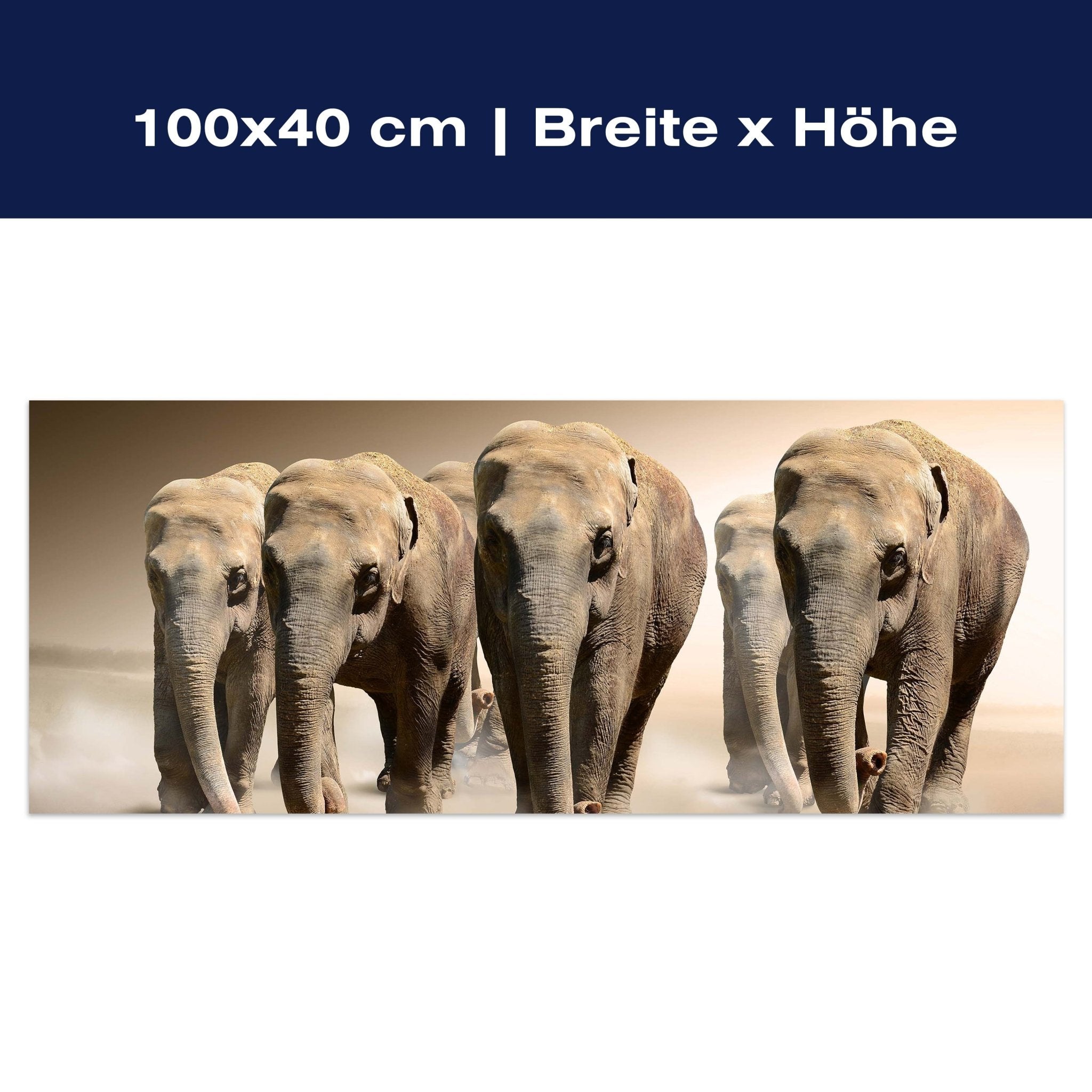 Leinwandbild Elefantengruppe Afrika M0245