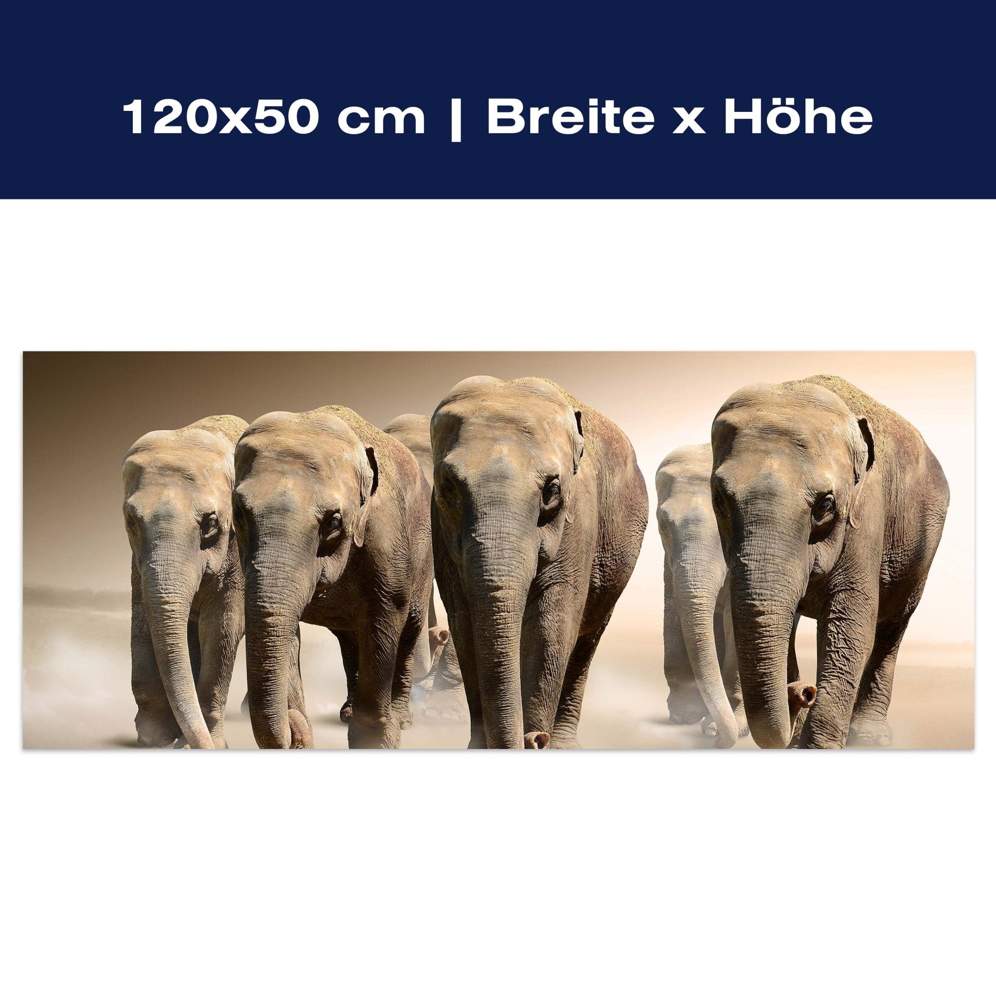 Leinwandbild Elefantengruppe Afrika M0245 Leinwandbild Elefantengruppe Afrika M0245