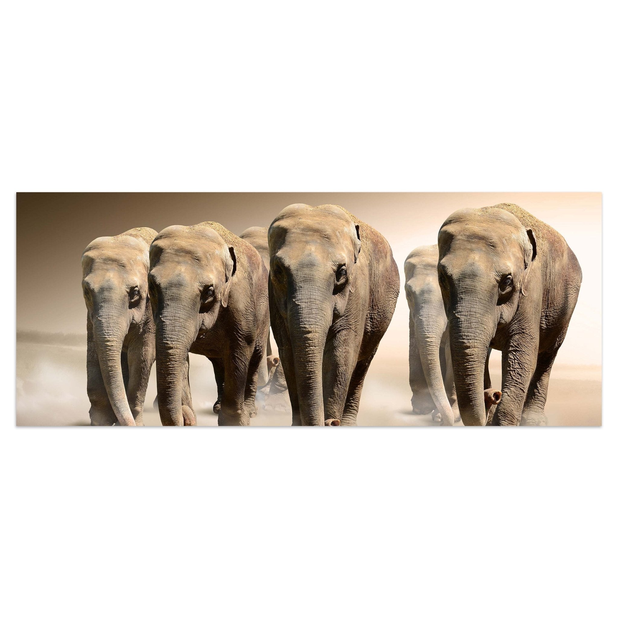 Leinwandbild Elefantengruppe Afrika M0245 kaufen - Bild 1