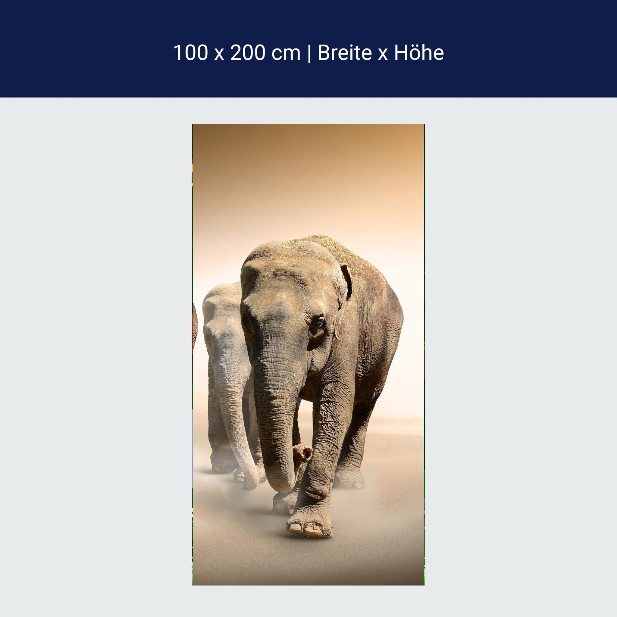 Türtapete Elefantengruppe Afrika M0245 Türtapete Elefantengruppe Afrika M0245