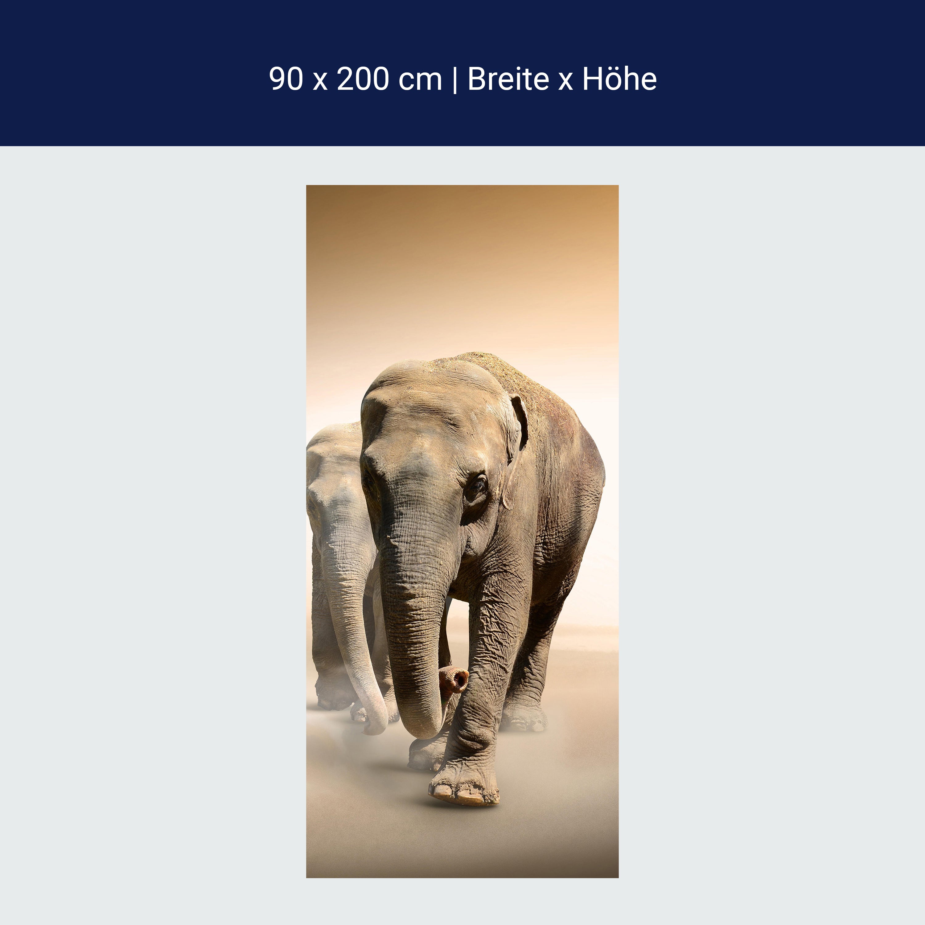 Türtapete Elefantengruppe Afrika M0245 Türtapete Elefantengruppe Afrika M0245