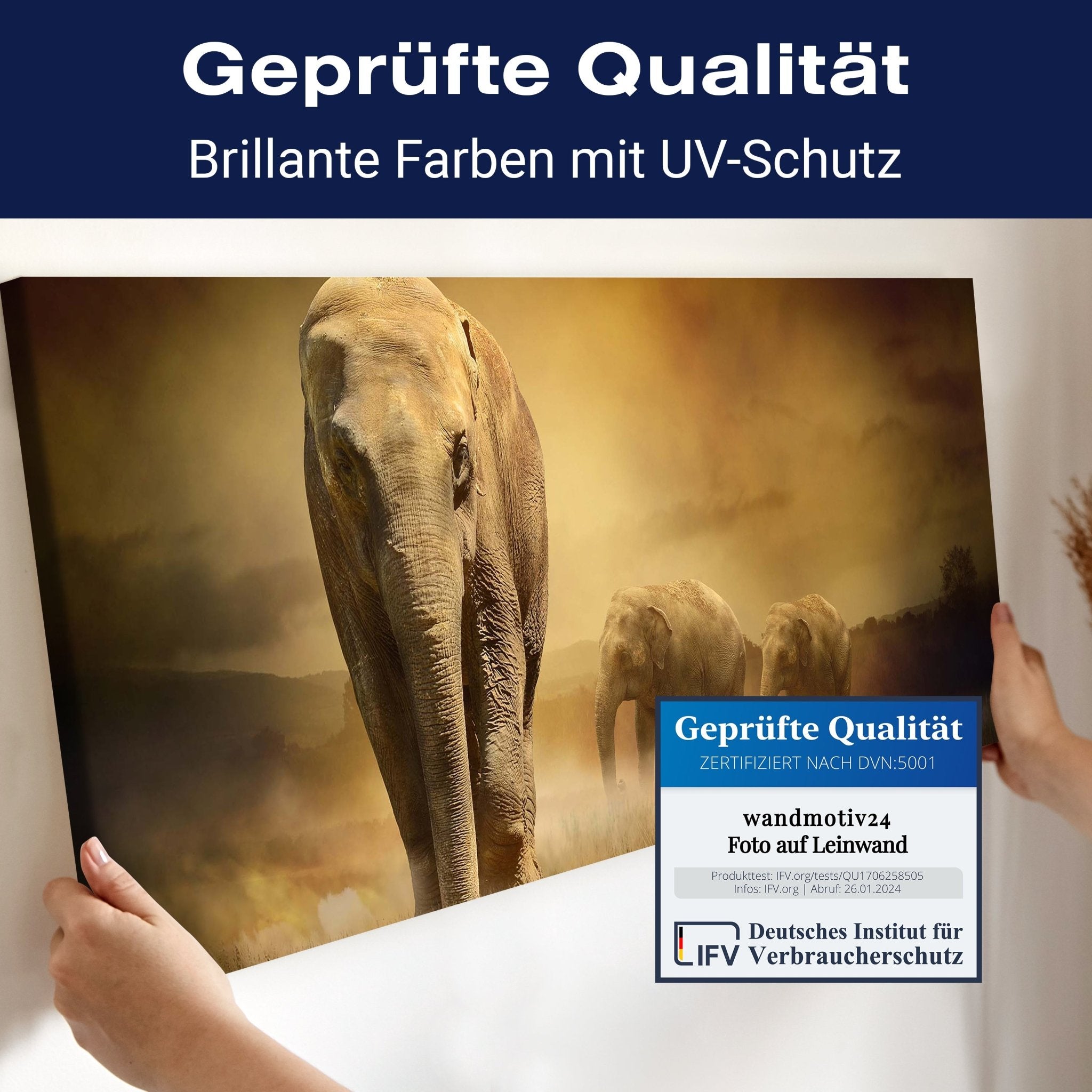 Leinwandbild Steppenelefant Afrika M0246 kaufen - Bild 4 Leinwandbild Steppenelefant Afrika M0246 kaufen - Bild 4