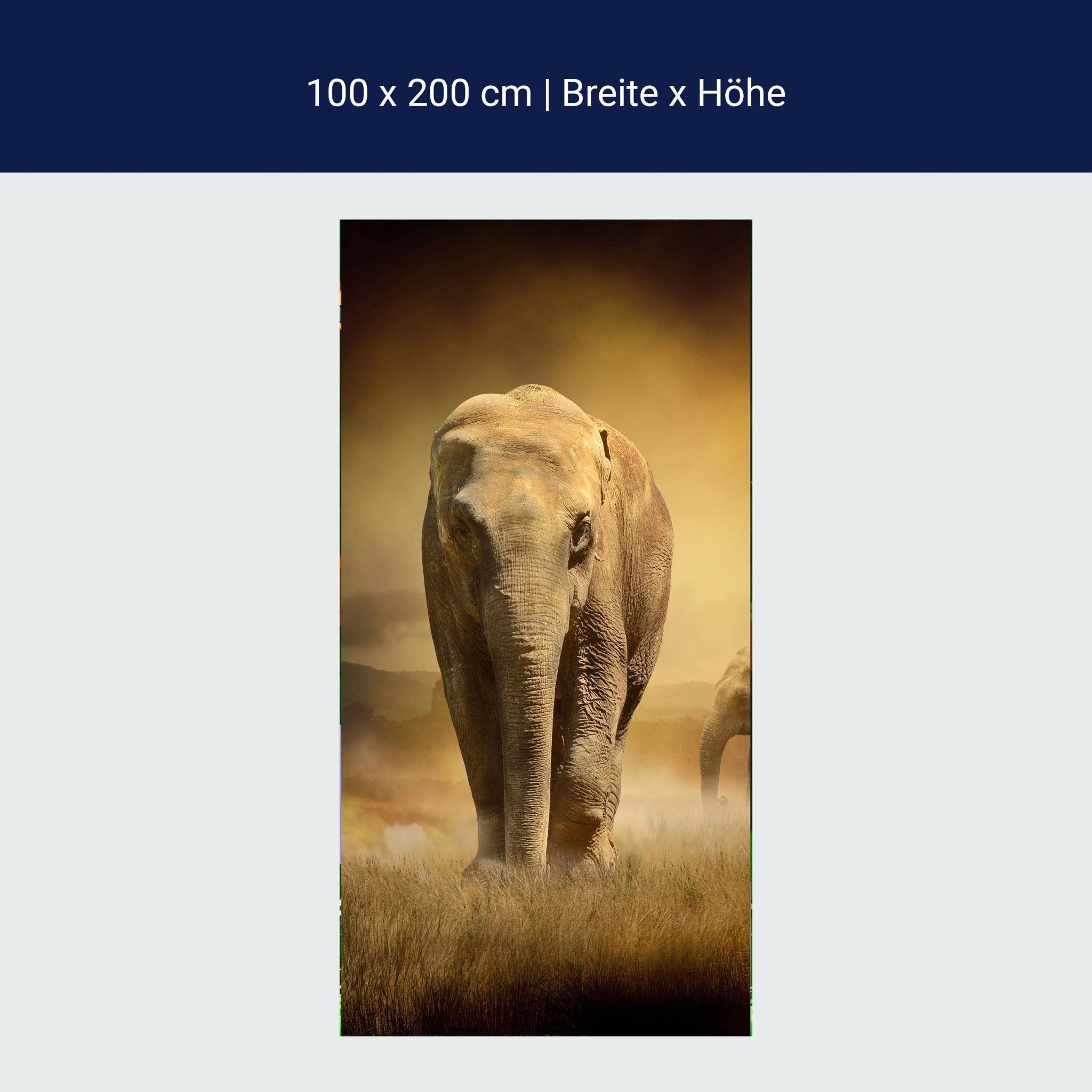 Türtapete Steppenelefant Afrika M0246 Türtapete Steppenelefant Afrika M0246