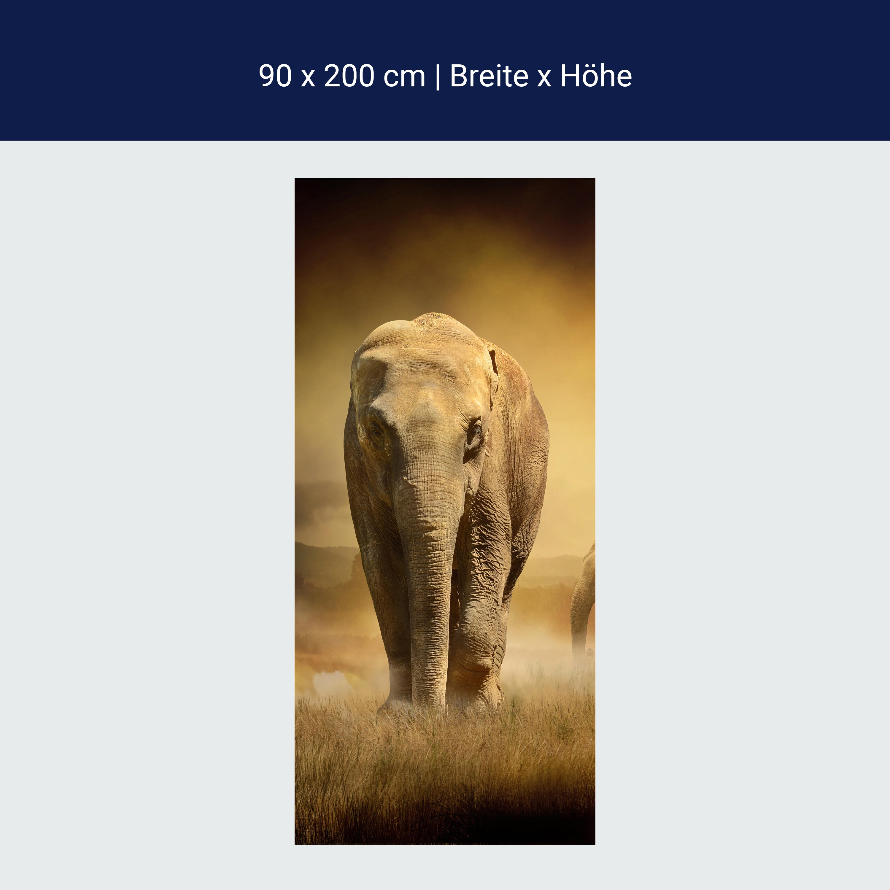 Türtapete Steppenelefant Afrika M0246 Türtapete Steppenelefant Afrika M0246