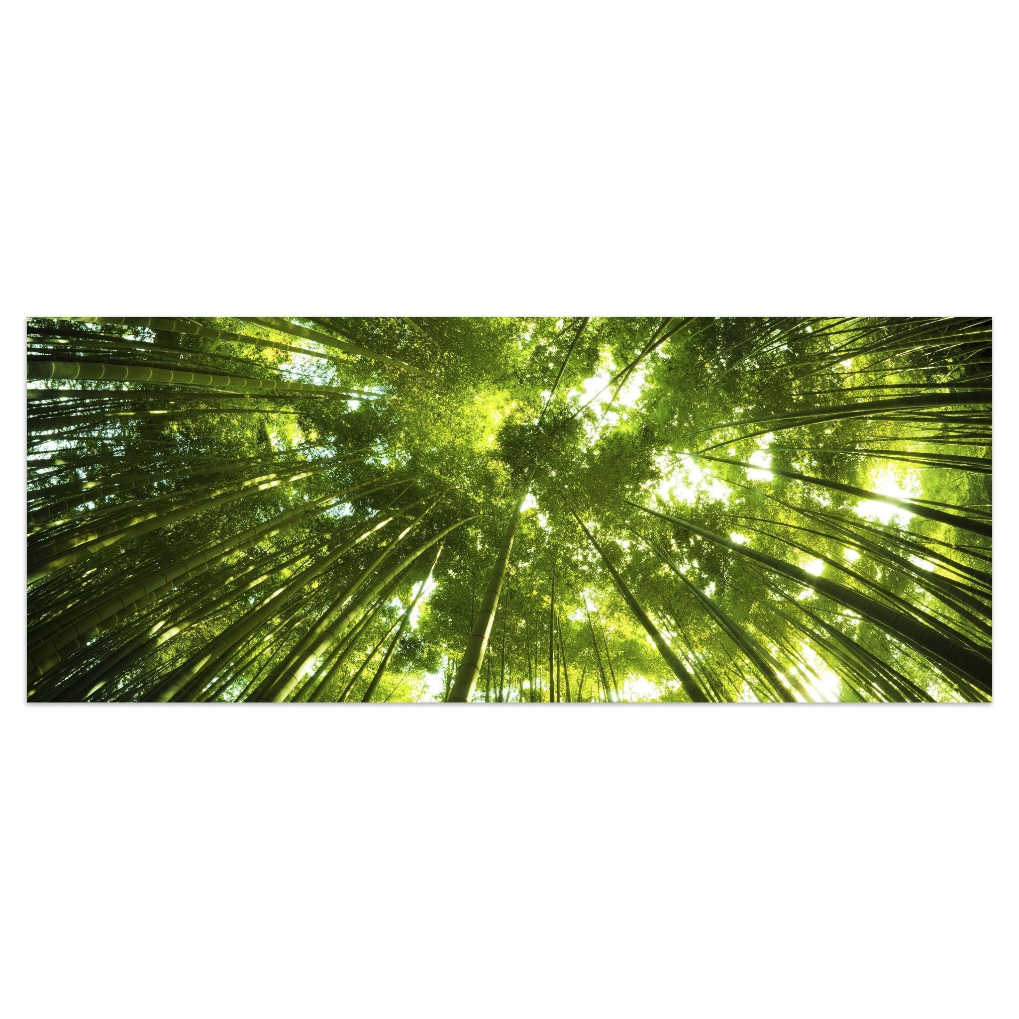 Leinwandbild Bambus Wald M0338 kaufen - Bild 1