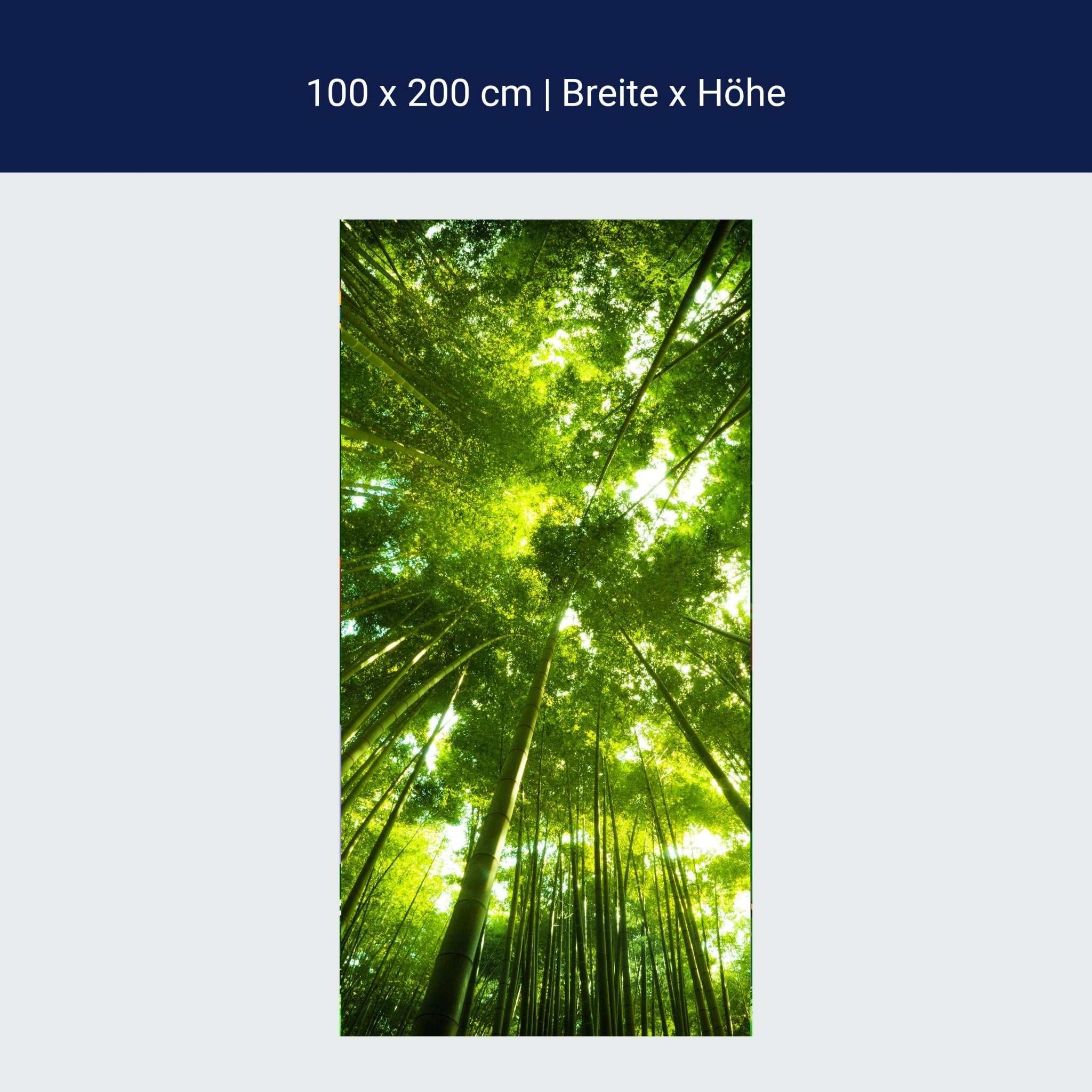 Türtapete Bambus Wald M0338 Türtapete Bambus Wald M0338