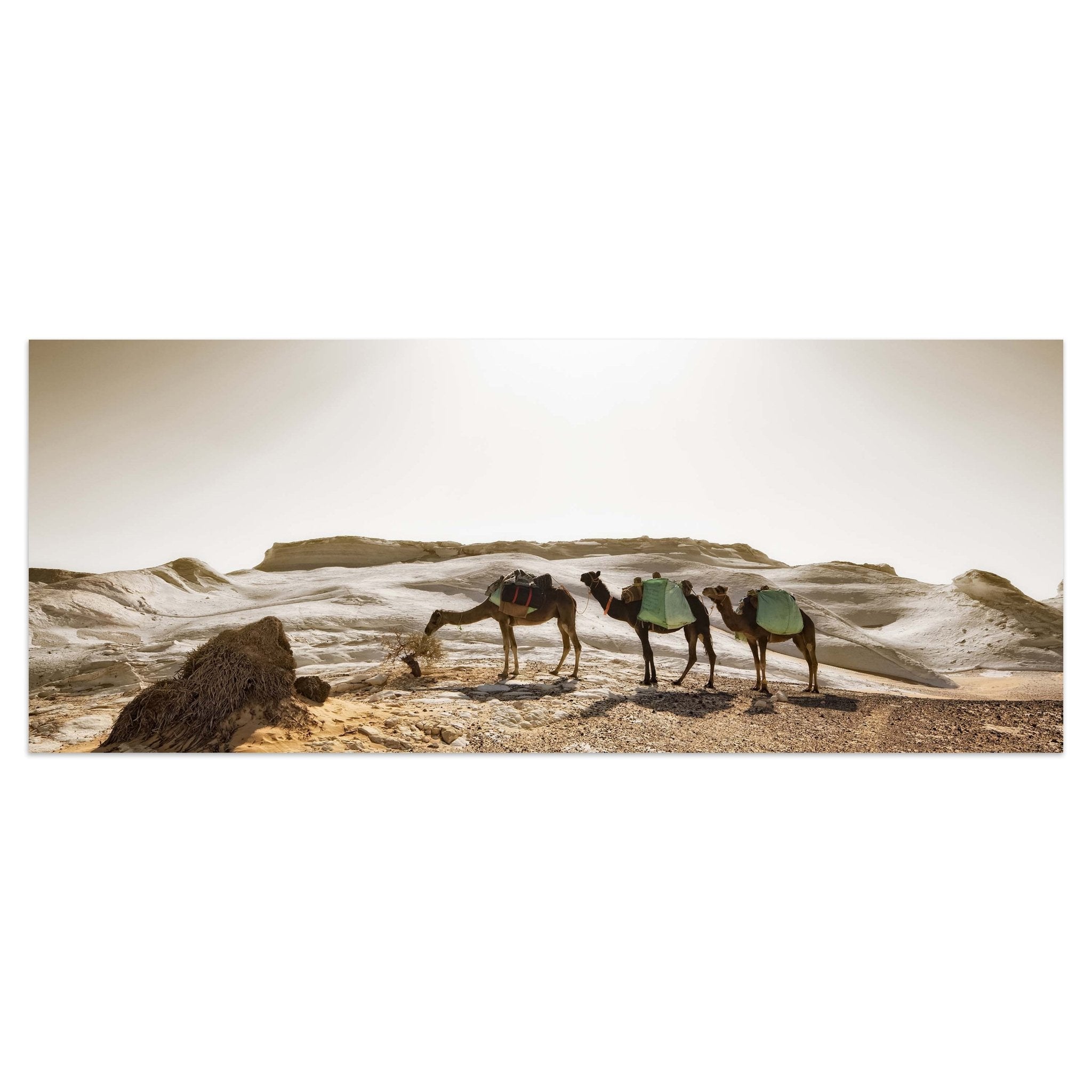 Leinwandbild Karavane M0343 kaufen - Bild 1 Leinwandbild Karavane M0343 kaufen - Bild 1