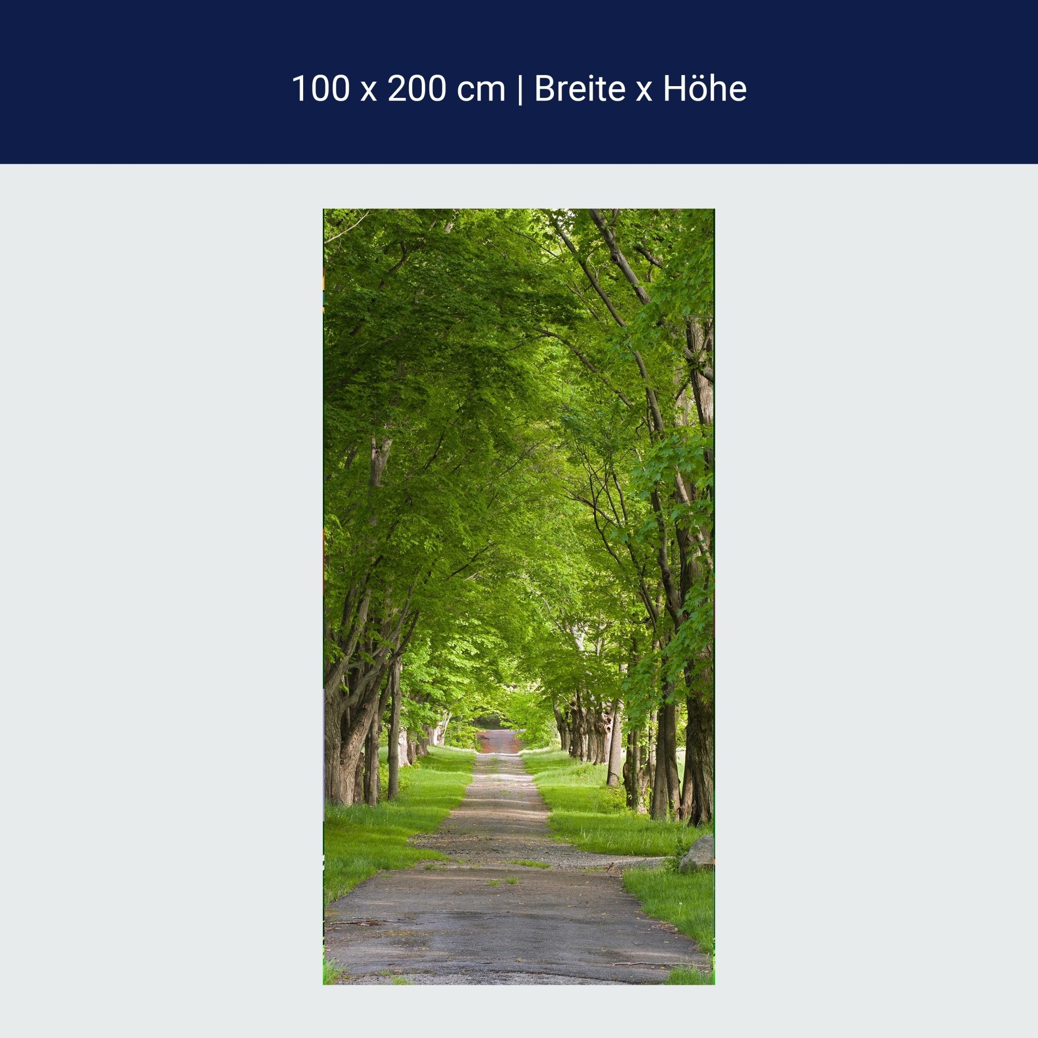 Türtapete Sommerallee M0357 Türtapete Sommerallee M0357