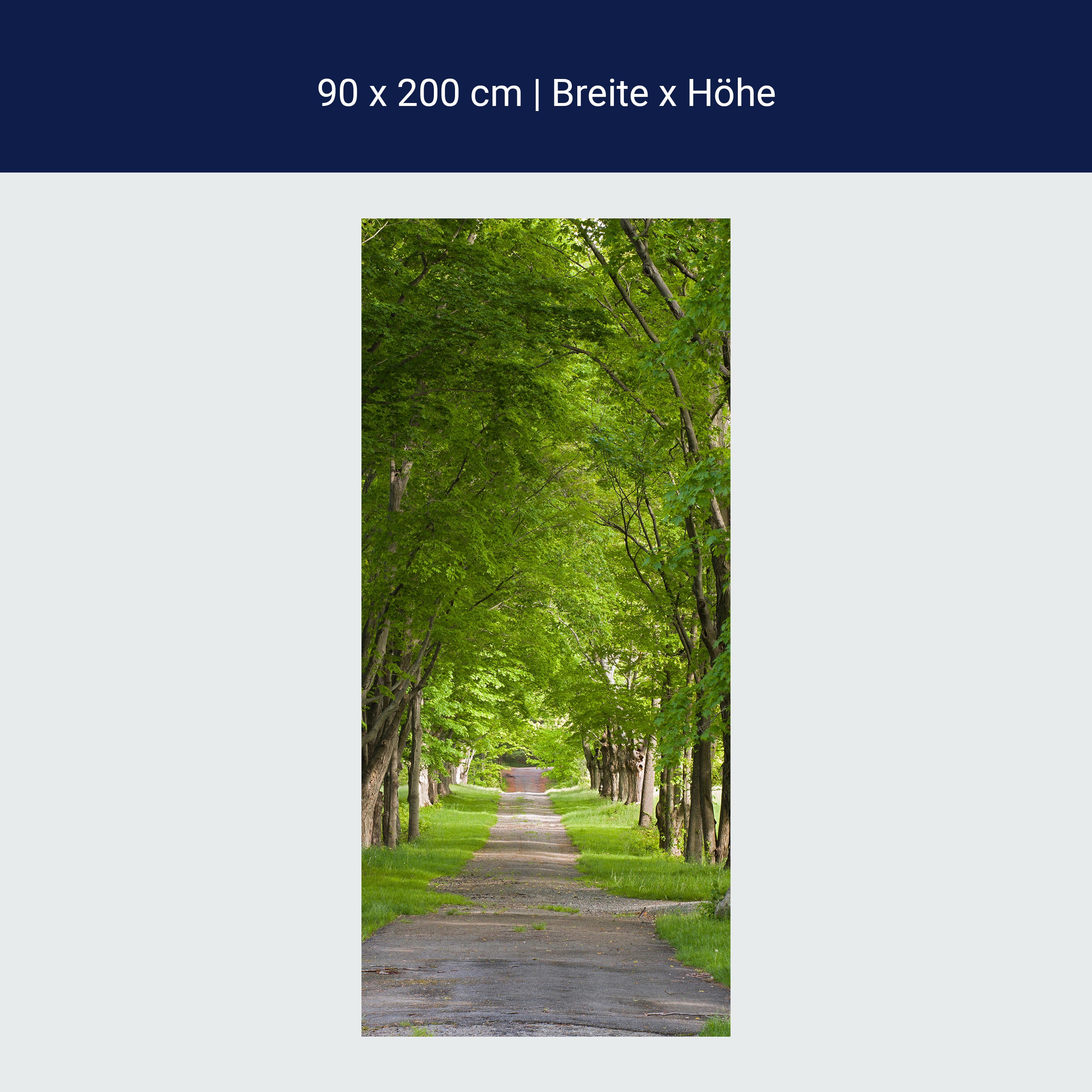 Türtapete Sommerallee M0357 Türtapete Sommerallee M0357