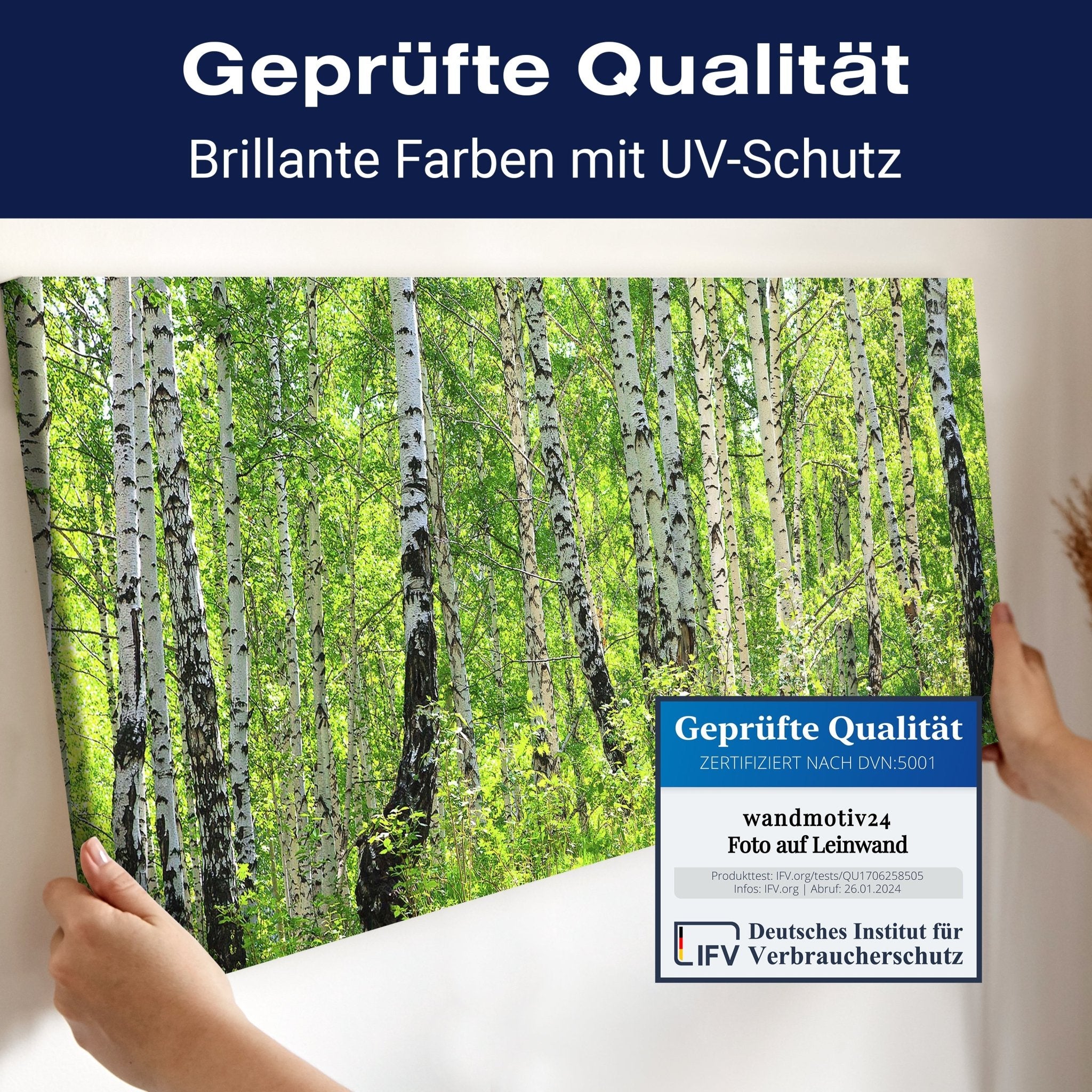 Leinwandbild Birkenwald M0363 kaufen - Bild 4 Leinwandbild Birkenwald M0363 kaufen - Bild 4