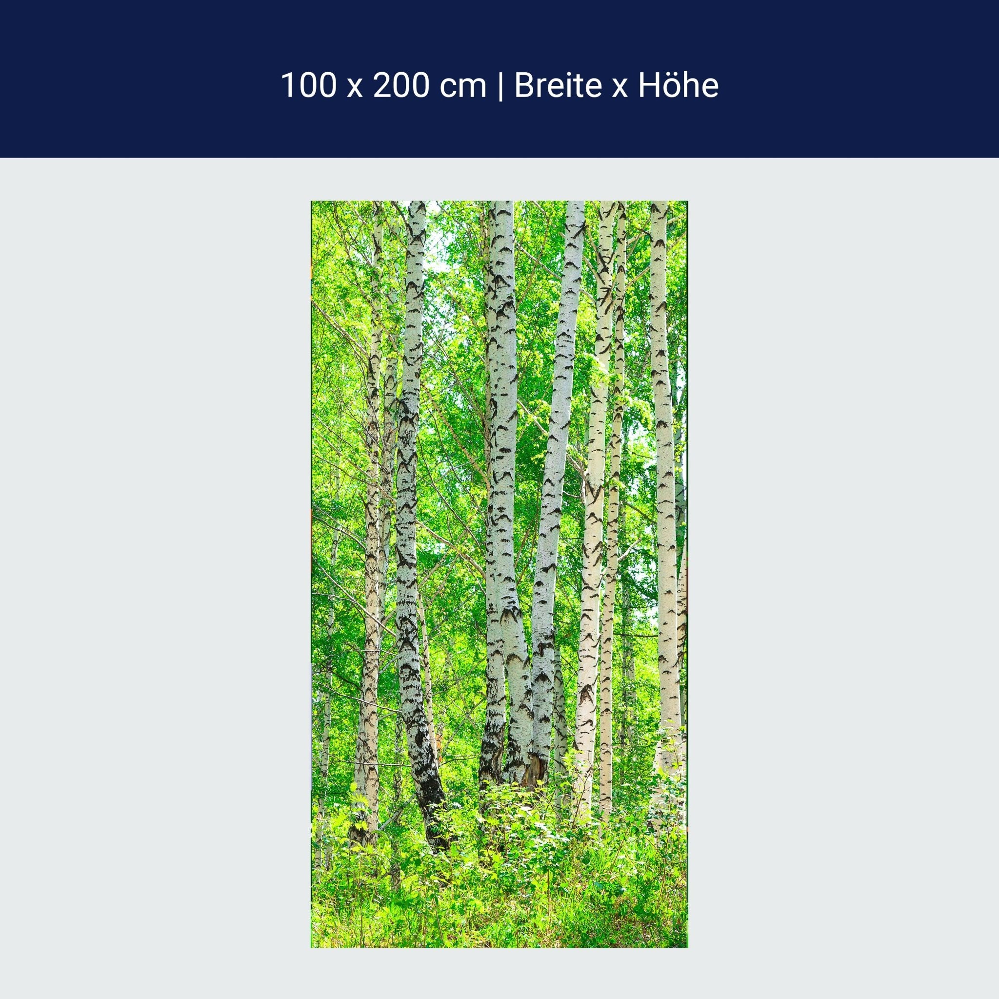 Türtapete Birkenwald M0363 Türtapete Birkenwald M0363