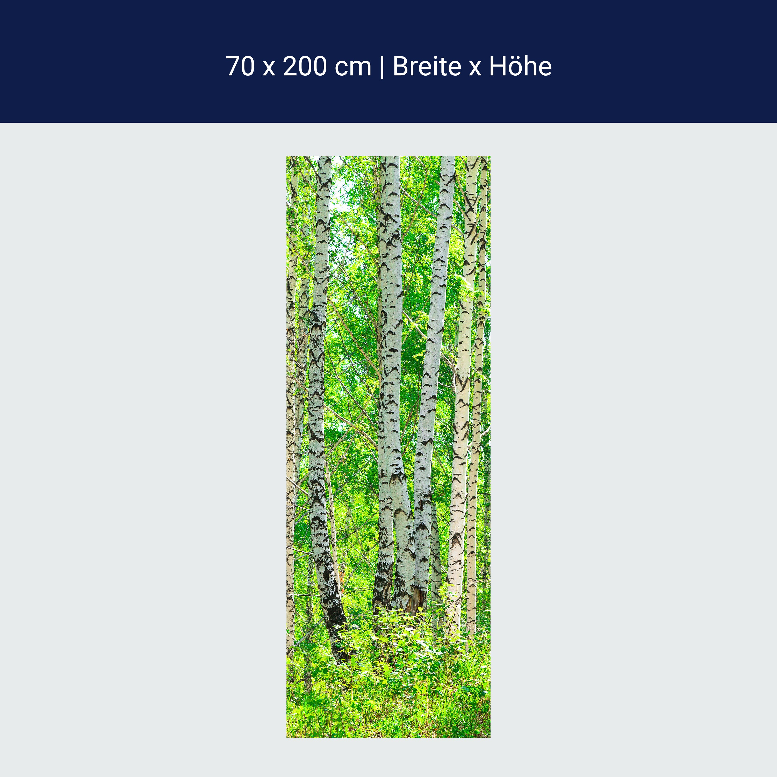 Türtapete Birkenwald M0363 Türtapete Birkenwald M0363