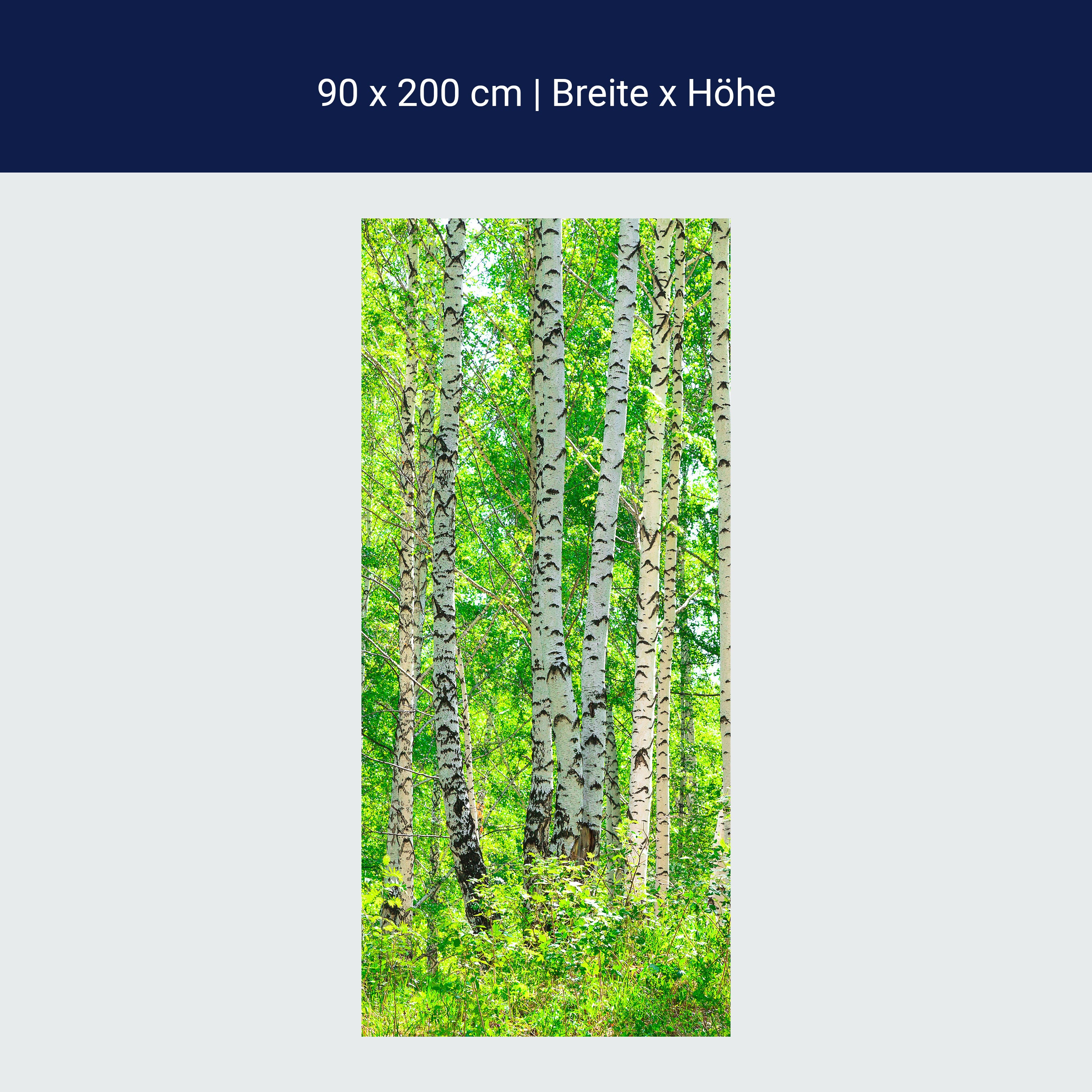 Türtapete Birkenwald M0363 Türtapete Birkenwald M0363