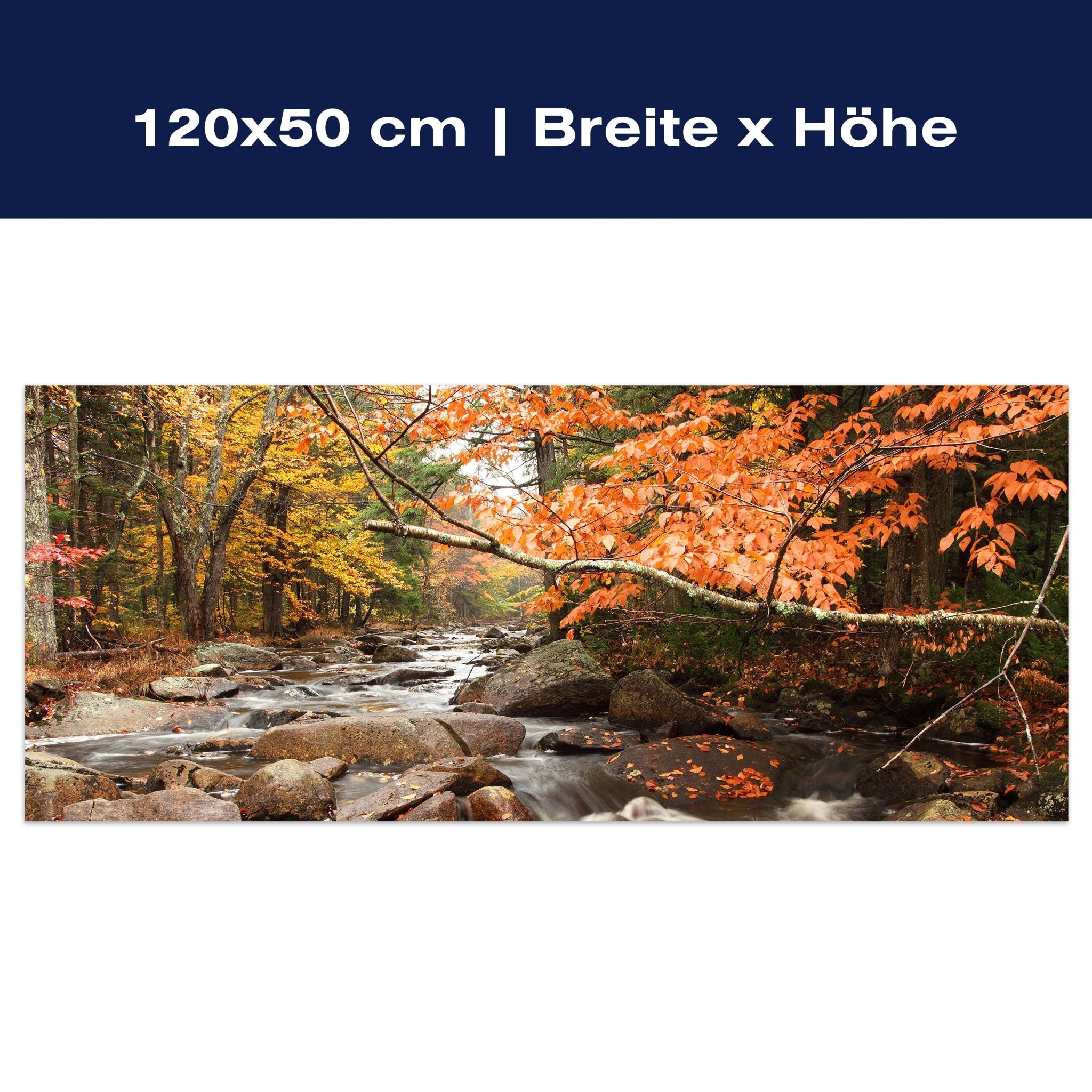 Leinwandbild Fluss im Herbst M0381 Leinwandbild Fluss im Herbst M0381
