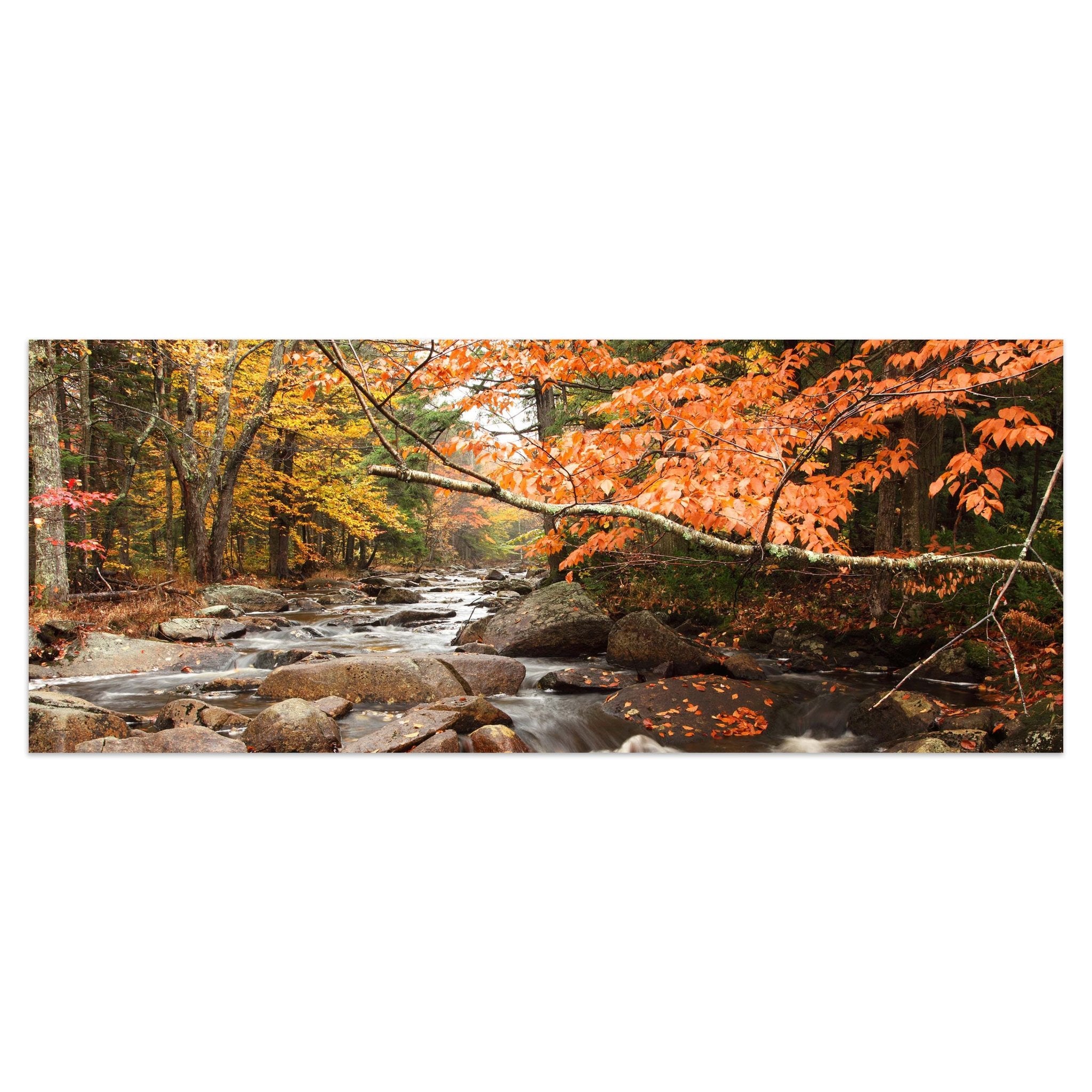 Leinwandbild Fluss im Herbst M0381 kaufen - Bild 1 Leinwandbild Fluss im Herbst M0381 kaufen - Bild 1