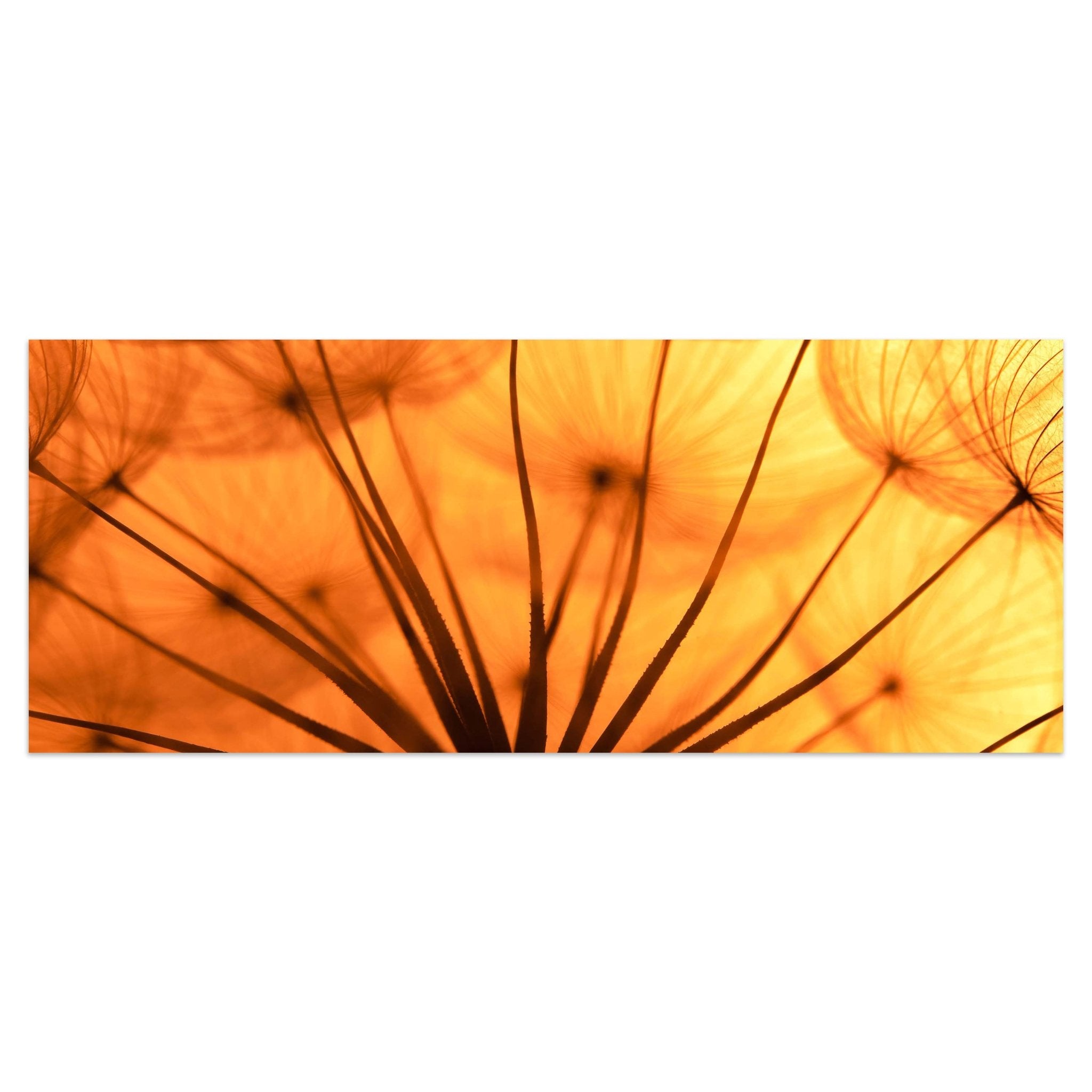 Leinwandbild Pusteblume Orange M0390 kaufen - Bild 1 Leinwandbild Pusteblume Orange M0390 kaufen - Bild 1