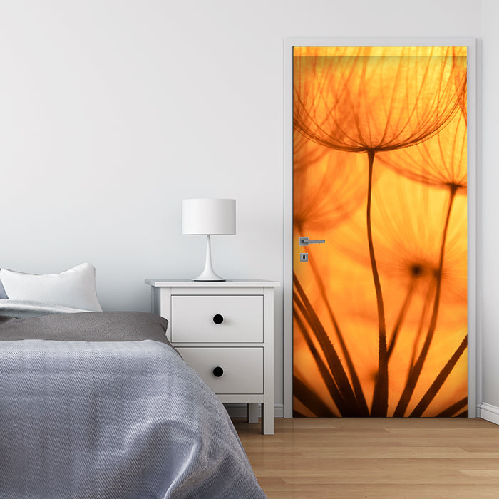 Türtapete Pusteblume Orange M0390 - Bild 1 Türtapete Pusteblume Orange M0390 - Bild 1