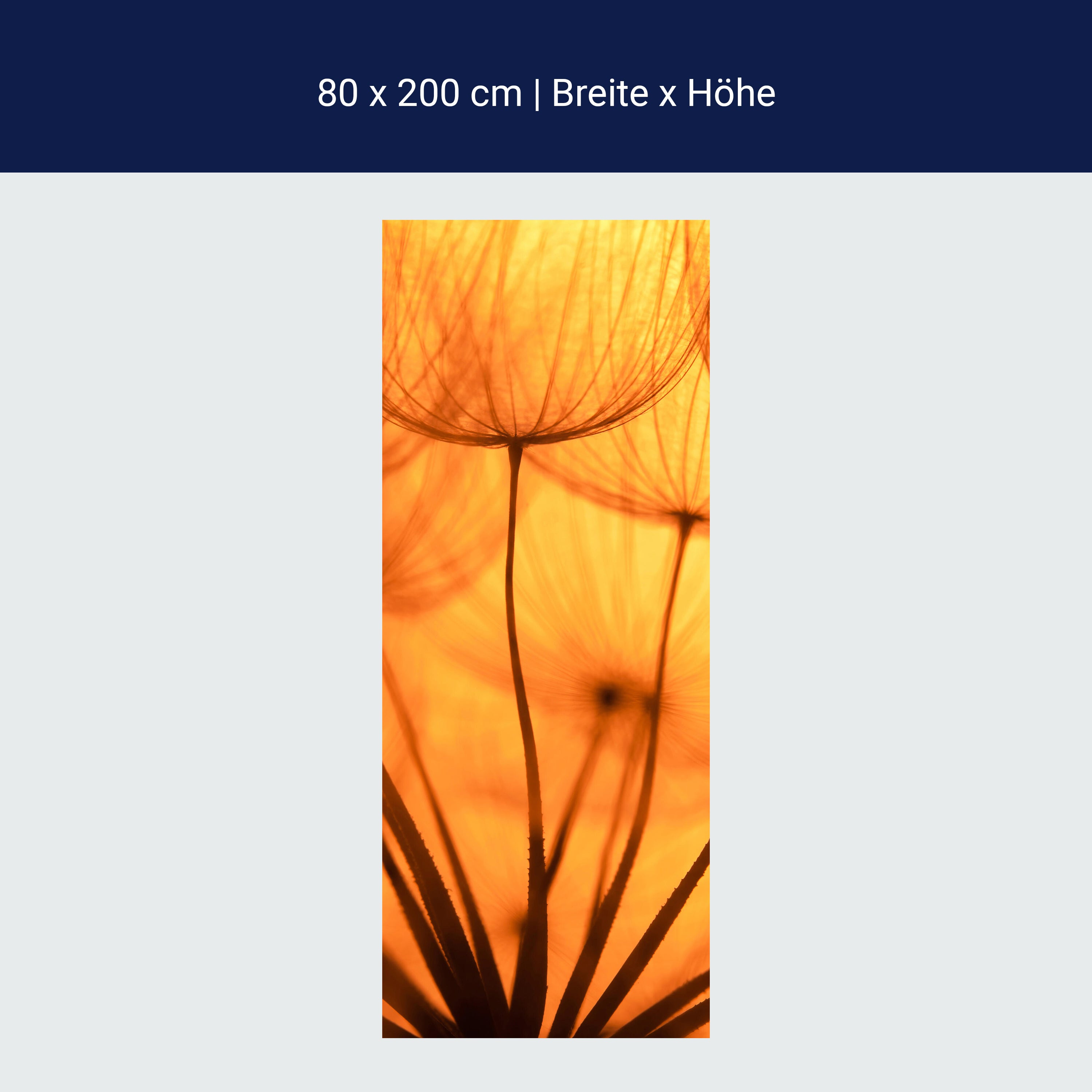 Türtapete Pusteblume Orange M0390 Türtapete Pusteblume Orange M0390