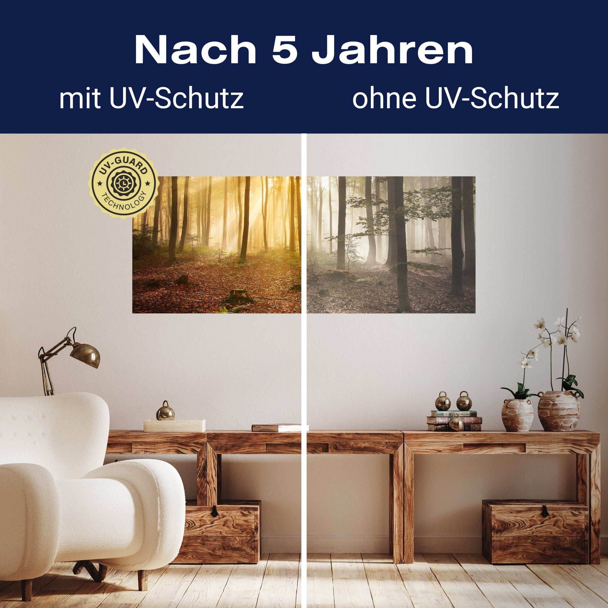 Leinwandbild Wald am Morgen M0391 kaufen - Bild 9 Leinwandbild Wald am Morgen M0391 kaufen - Bild 9