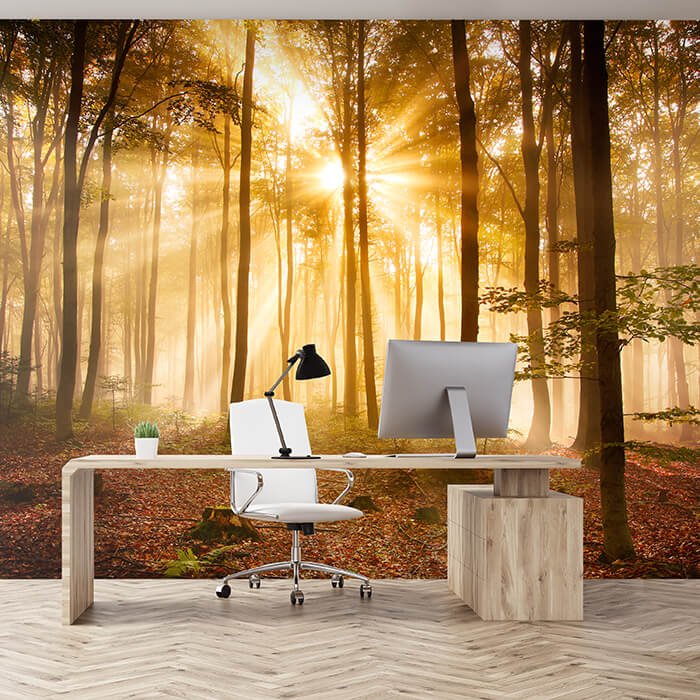 Fototapete Wald am Morgen M0391 - Bild 1 Fototapete Wald am Morgen M0391 - Bild 1