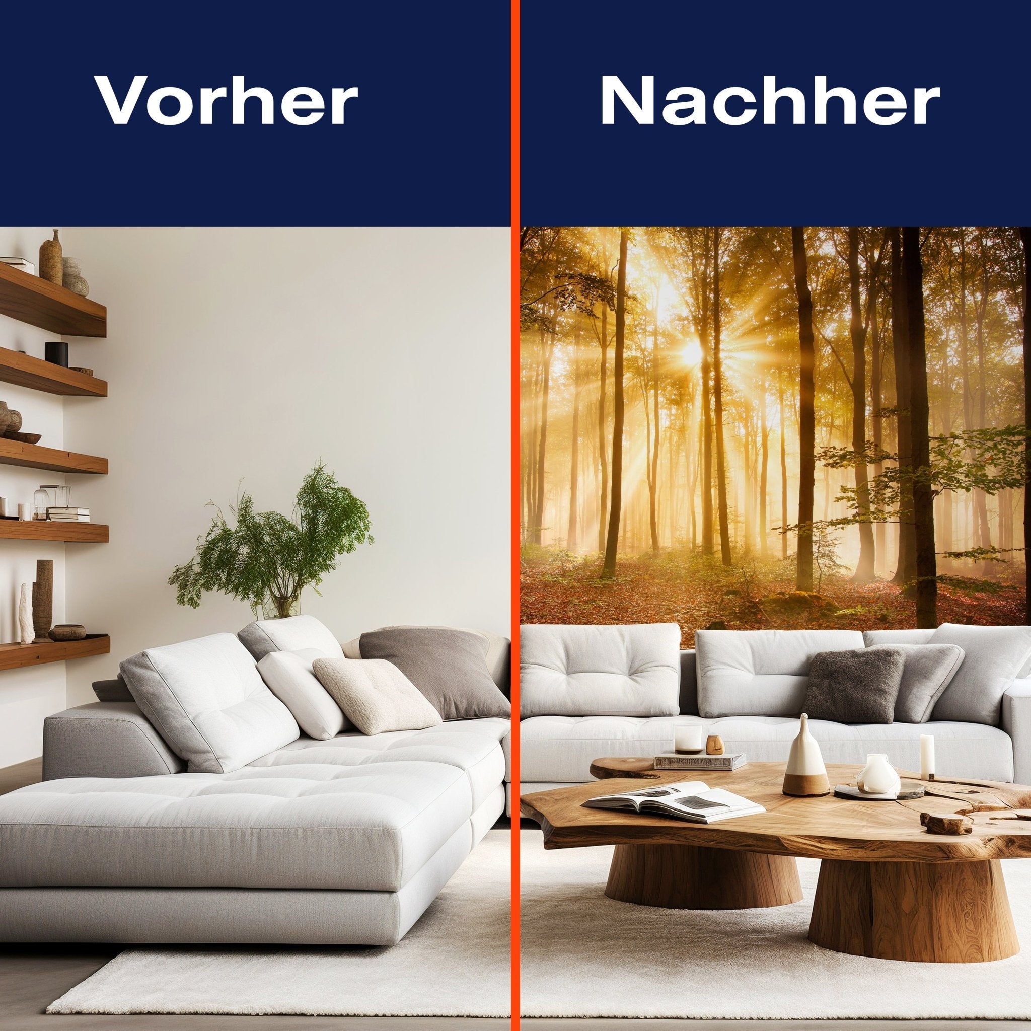 Fototapete Wald am Morgen M0391 - Bild 9 Fototapete Wald am Morgen M0391 - Bild 9