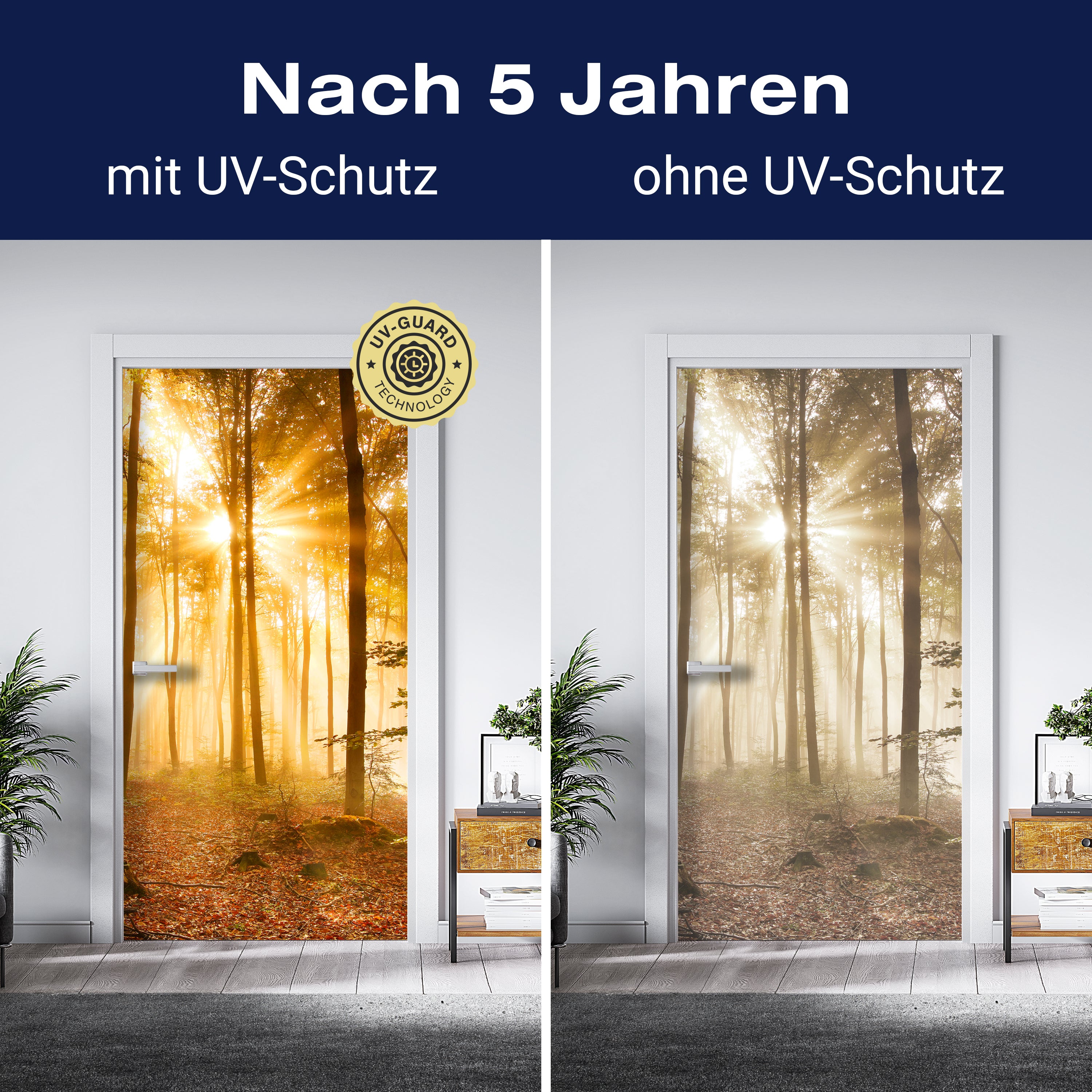 Türtapete Wald am Morgen M0391 - Bild 4 Türtapete Wald am Morgen M0391 - Bild 4