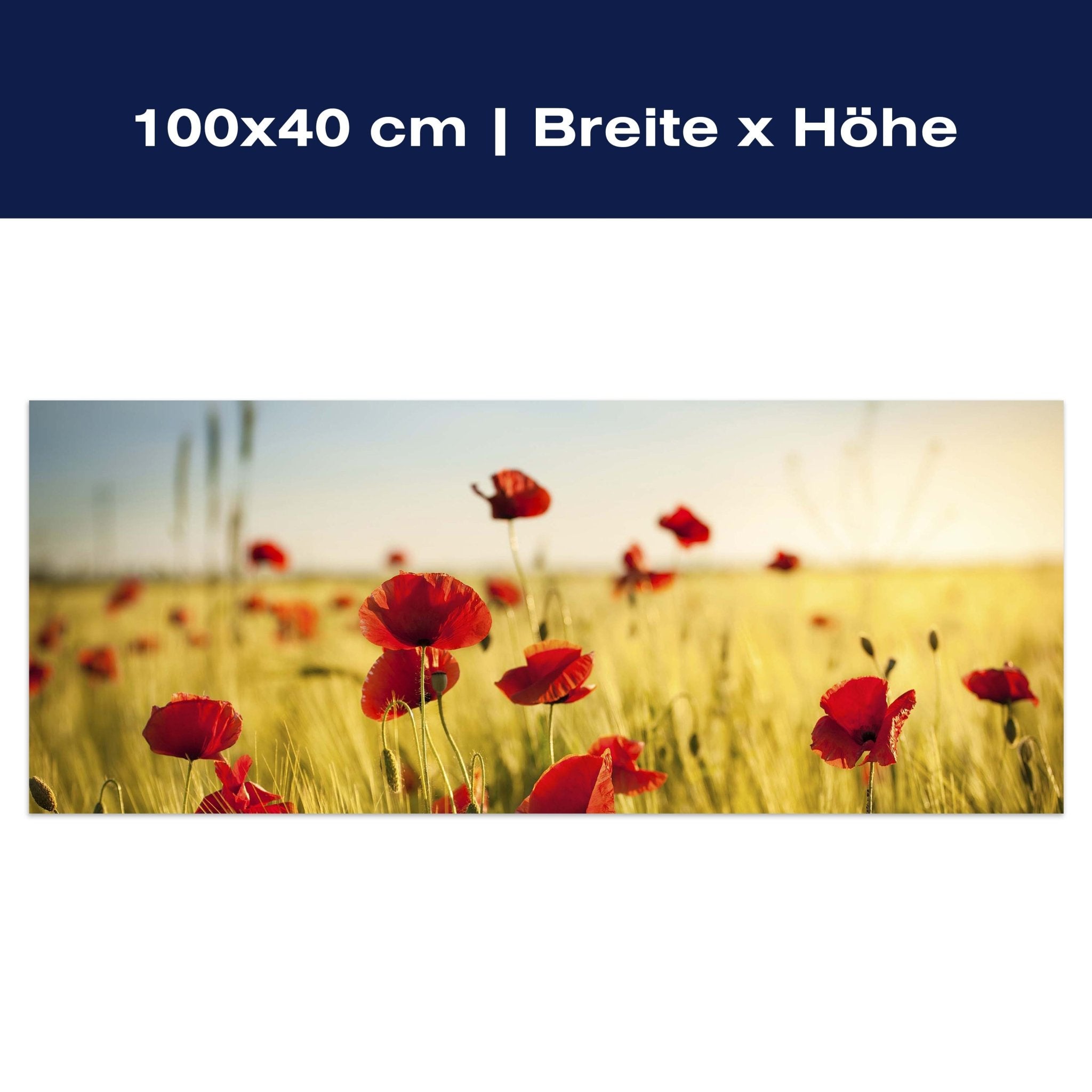 Leinwandbild Kornfeld mit Mohnblumen M0398 Leinwandbild Kornfeld mit Mohnblumen M0398